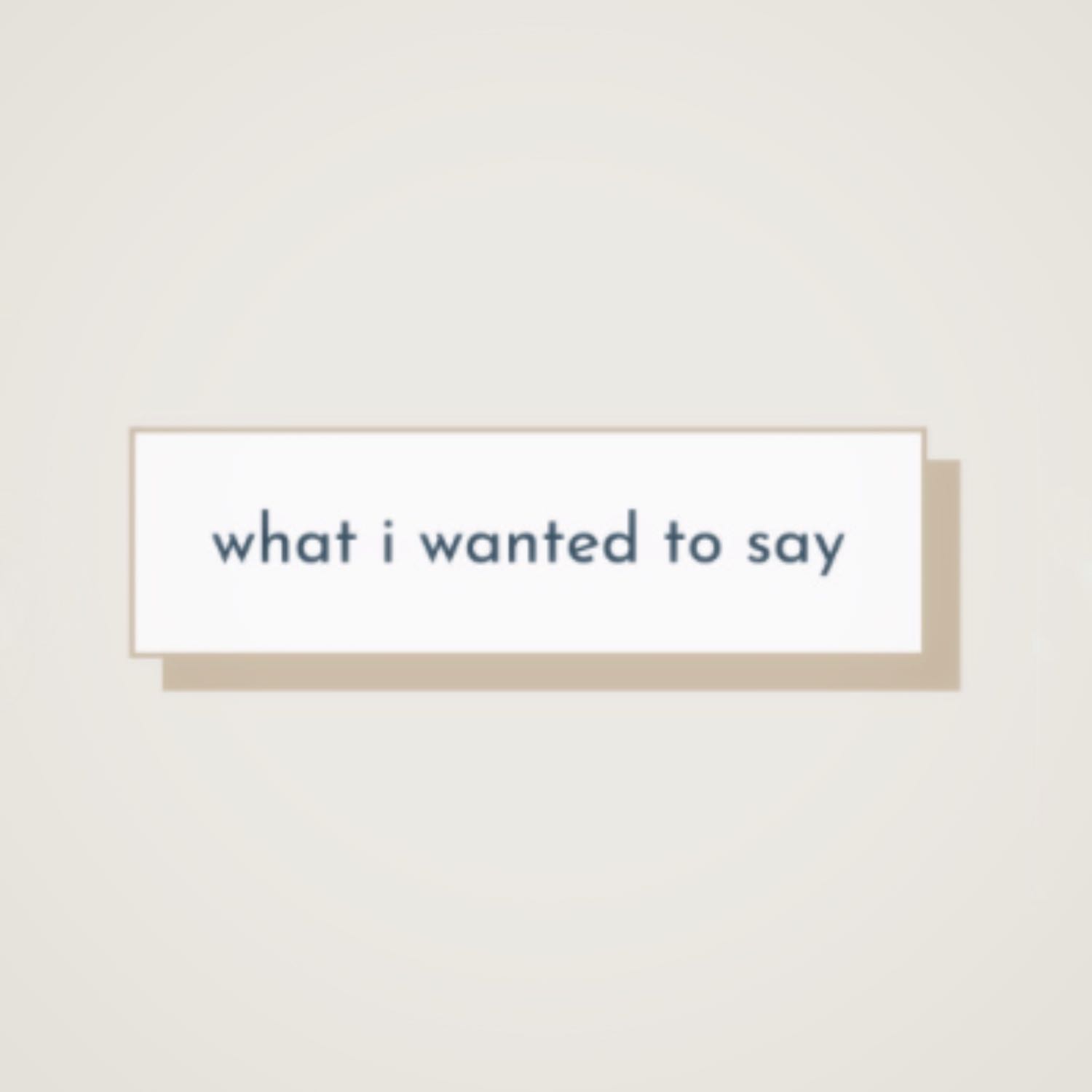 what i wanted to say