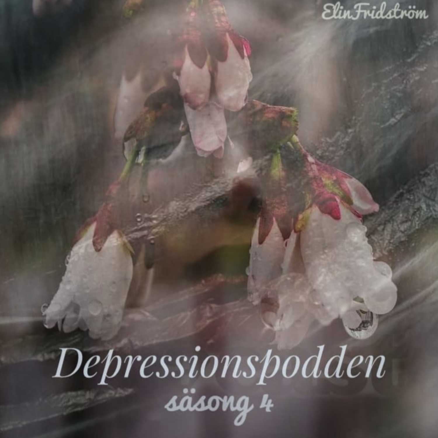 Depressionspodden