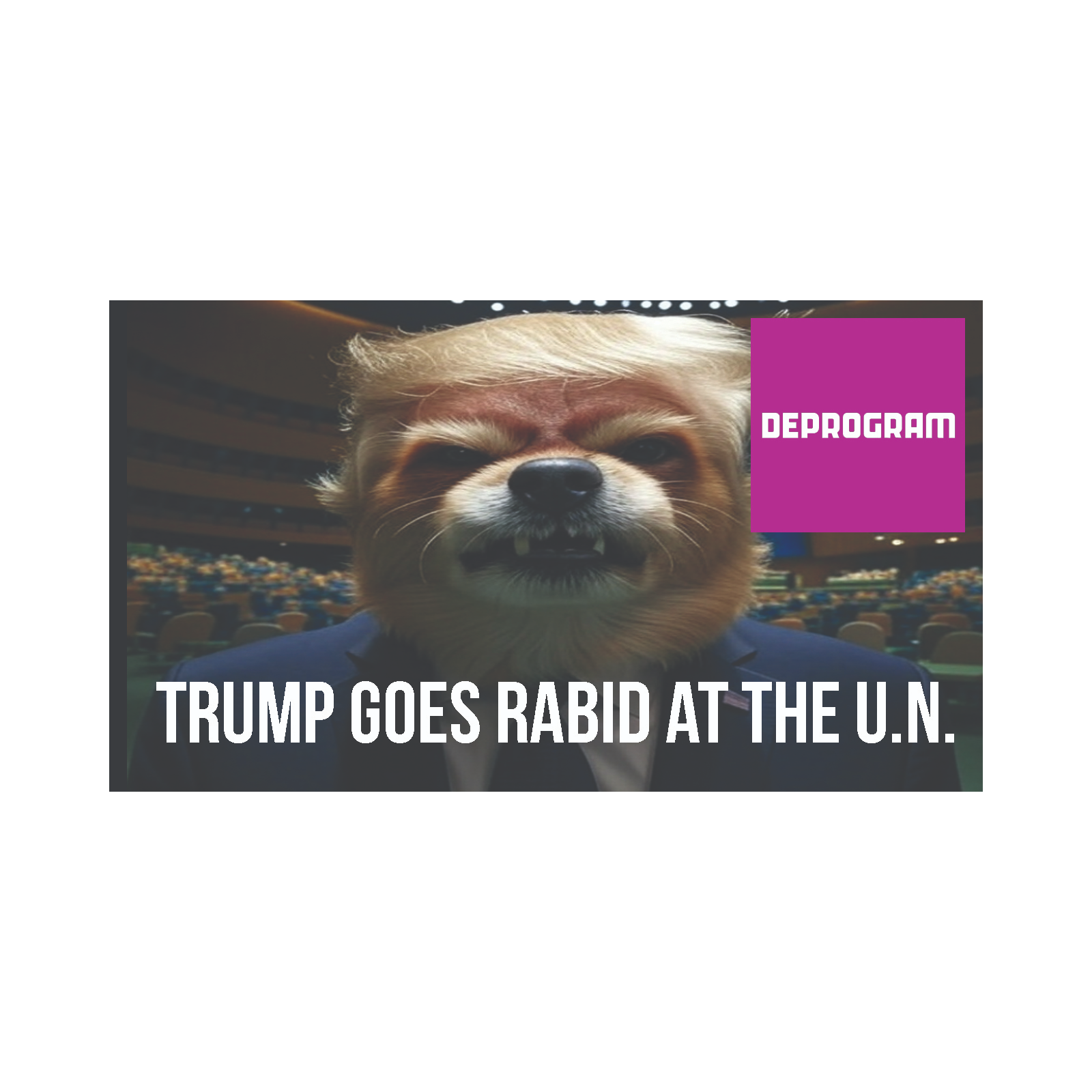 DeProgram with Ted Rall and John Kiriakou: “Trump Rages at UN”