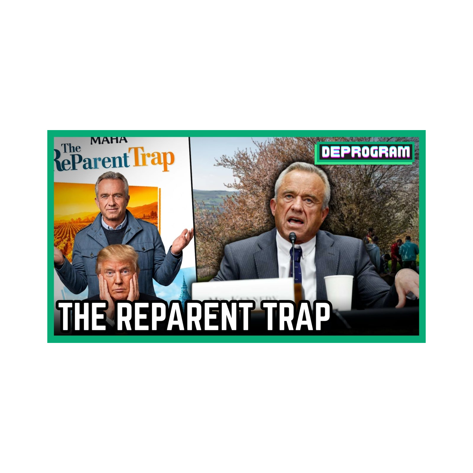 The Re-Parent Trap | DeProgram with Ted Rall and Jamarl Thomas