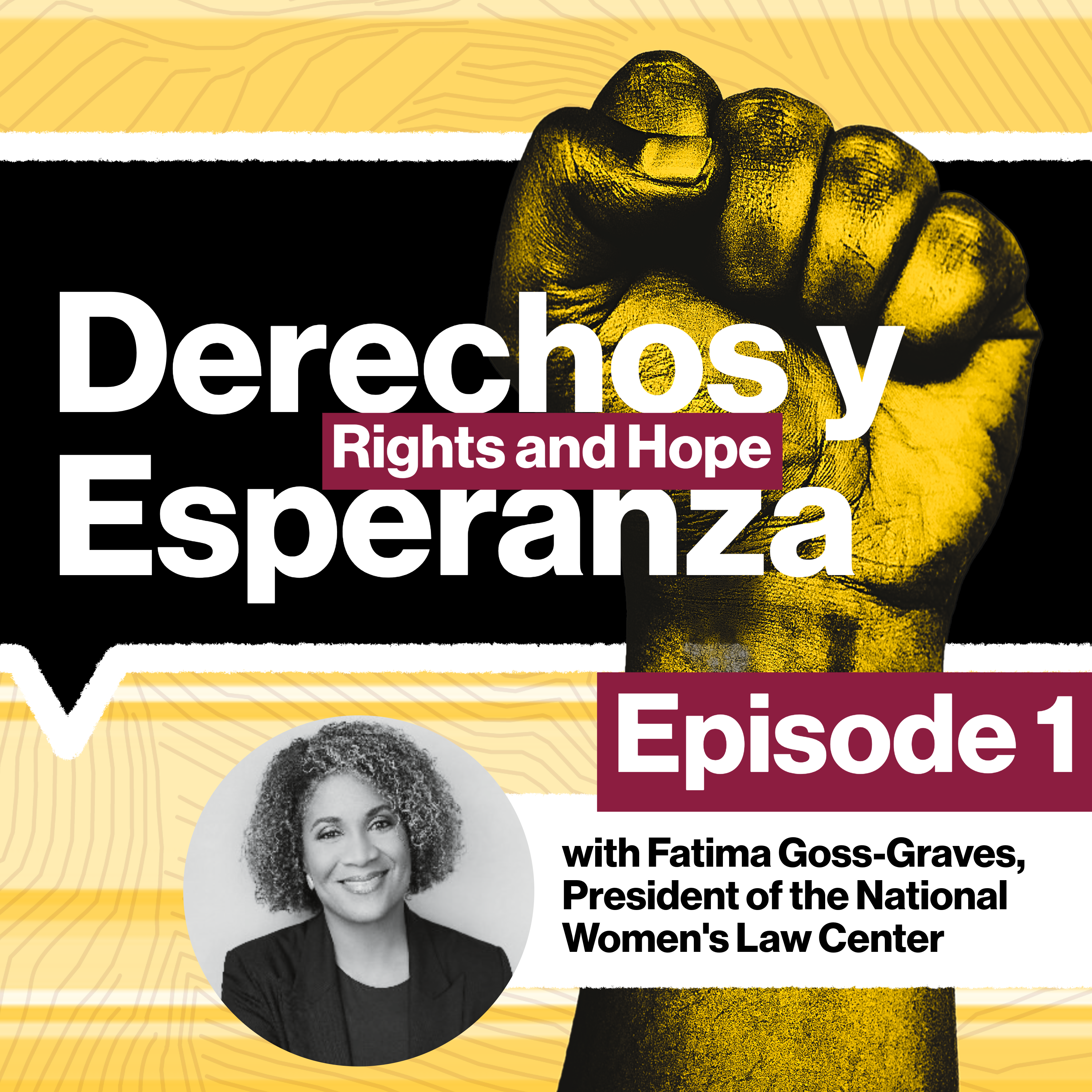 Ongoing Civil Rights Challenges for Women and Families: Organizing to Address Escalating Health Care, Housing and Food Costs episode artwork