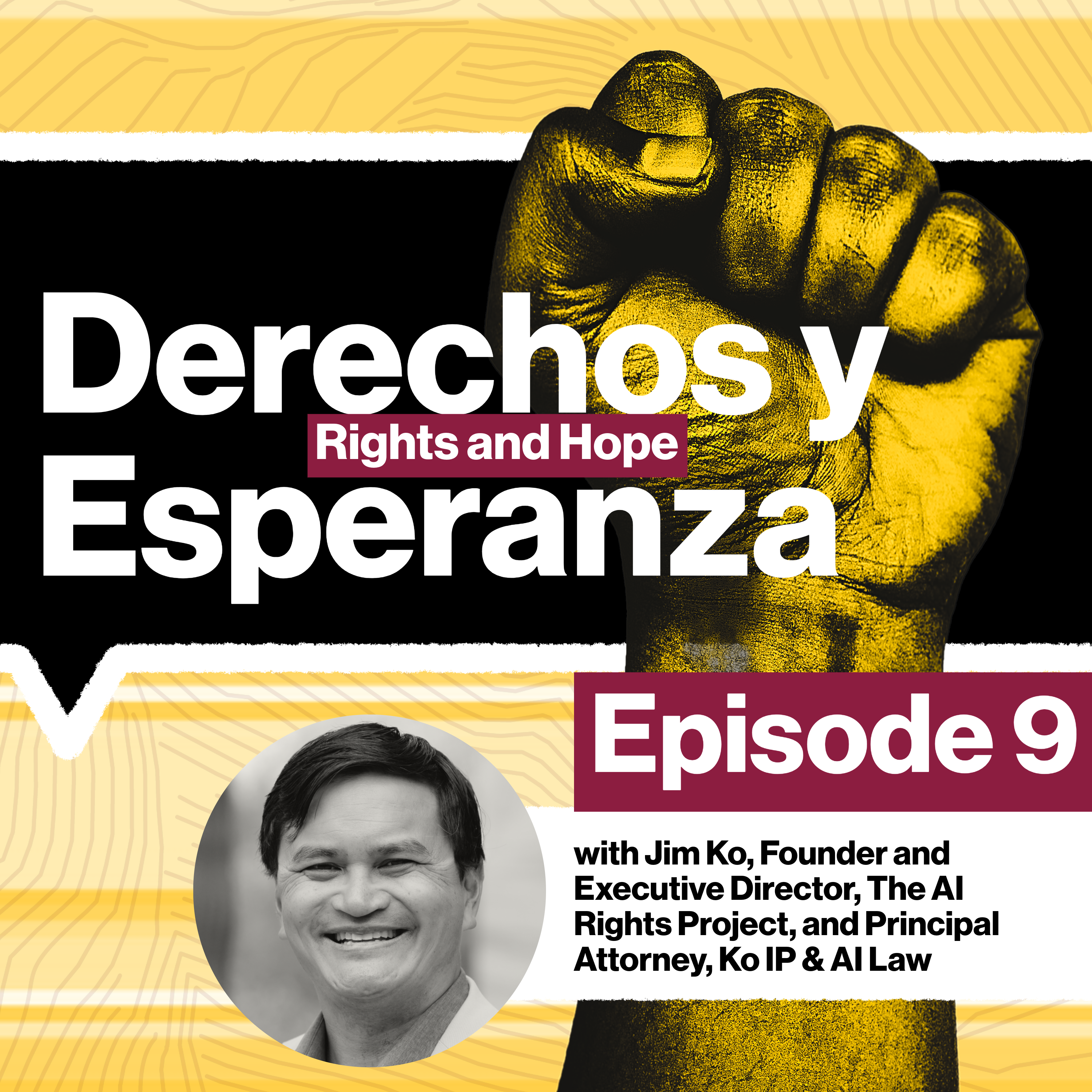 Artificial Intelligence: What to do about the dangers of bias and the threats to privacy? episode artwork