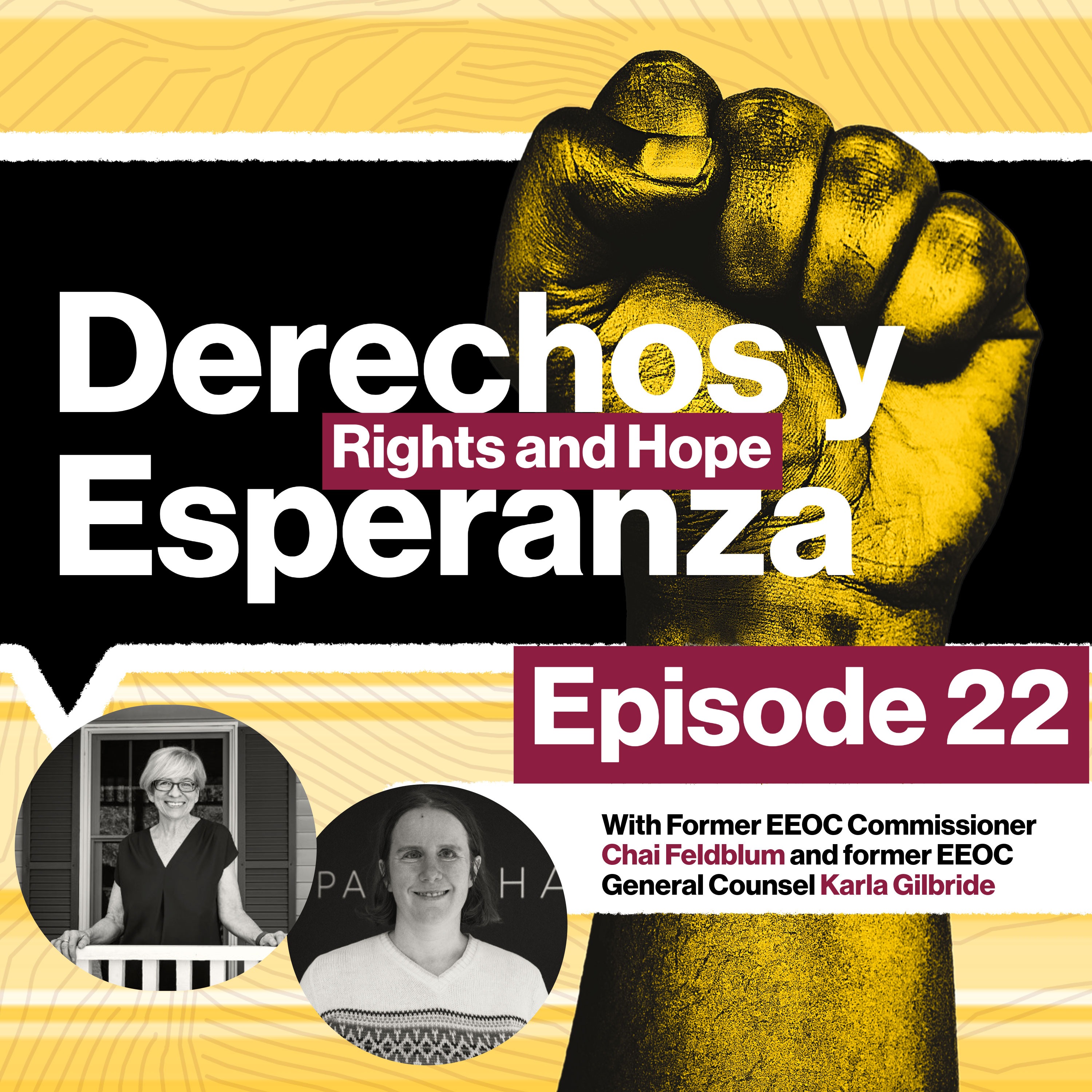 The EEOC at a Crossroads: Former Officials on Preserving Equal Opportunity episode artwork