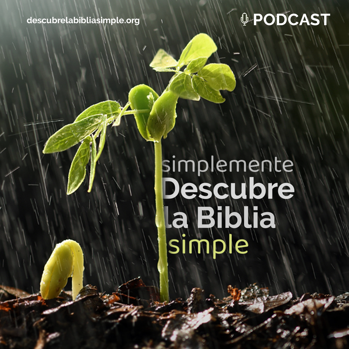 Simplemente Descubre la Biblia, simple