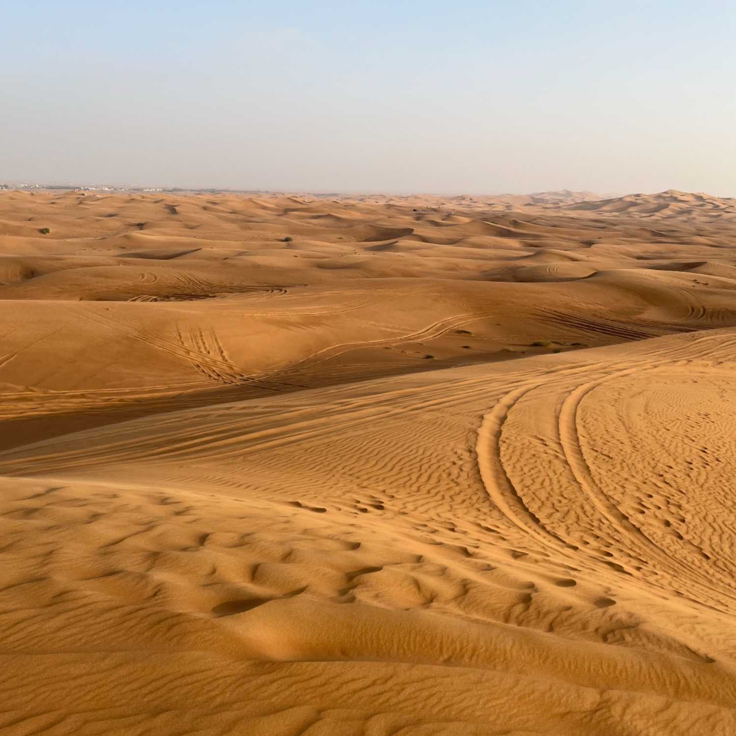 Biomes(desert)