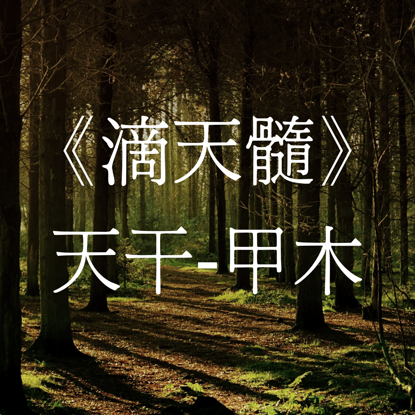 第八十三集：進階八字班L4 - 《滴天髓》- 甲干 episode artwork