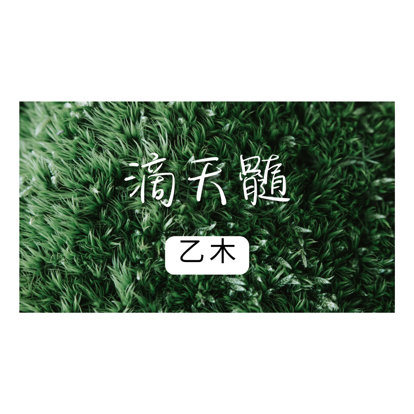 第八十五集：進階八字班—《滴天髓》L5(乙干） episode artwork