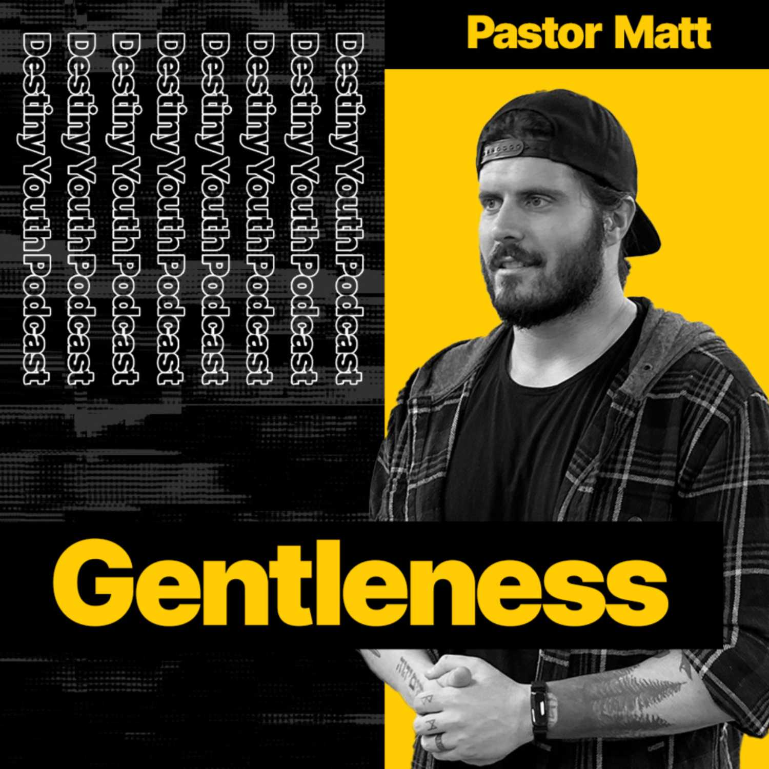 Gentleness with Pastor Matt episode artwork