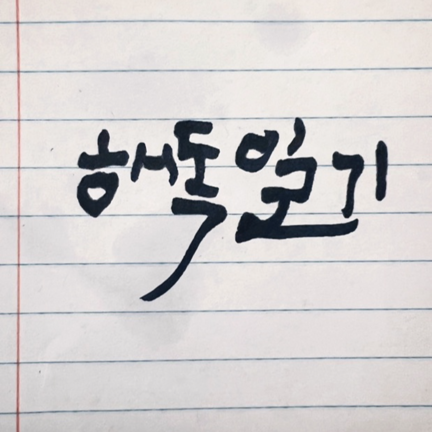 해독일기