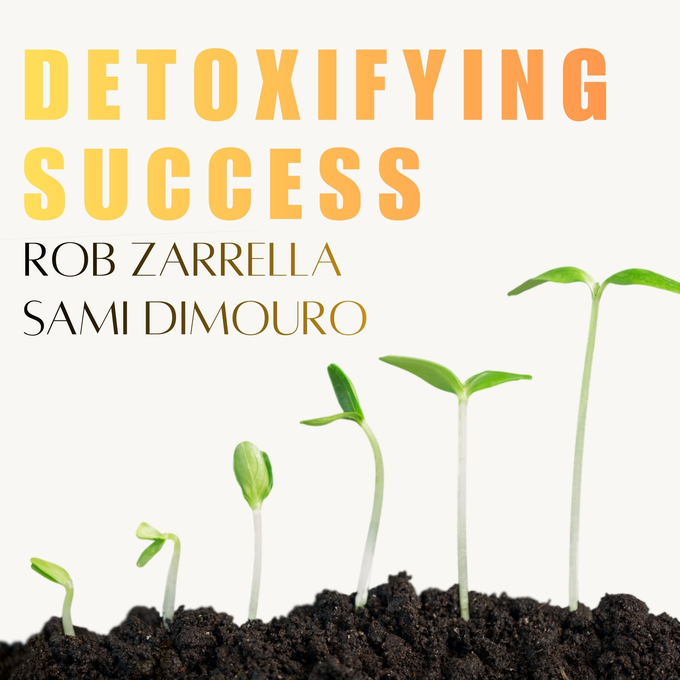 Detoxifying Success podcast artwork