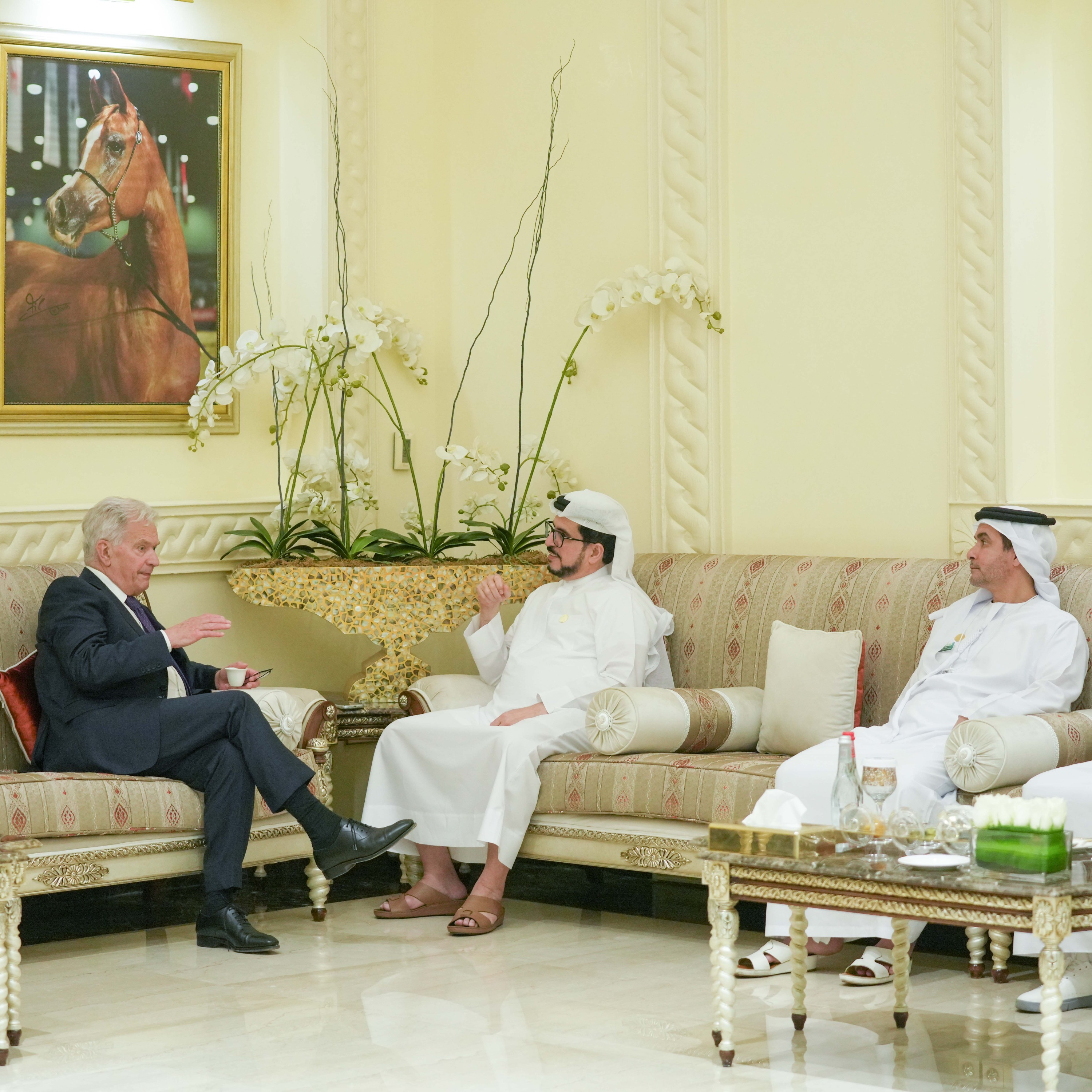 HE Saeed Mohammed Al Tayer receives former President of Finland episode artwork