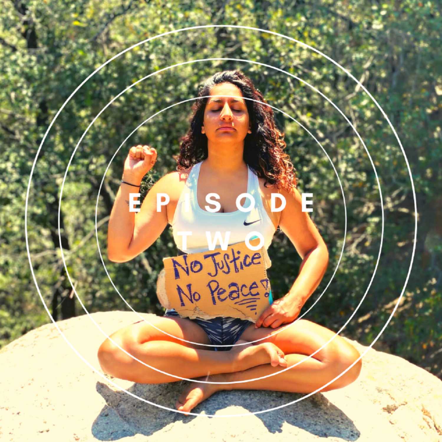 Dharma Things Podcast