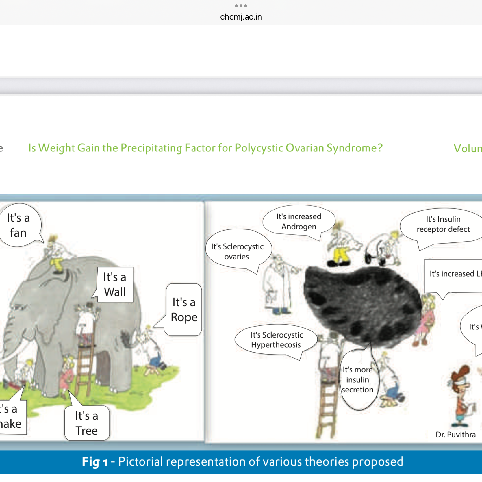 Rethinking Polycystic Ovary Syndrome. PCOS. Is PCOS an Epiphenomenon