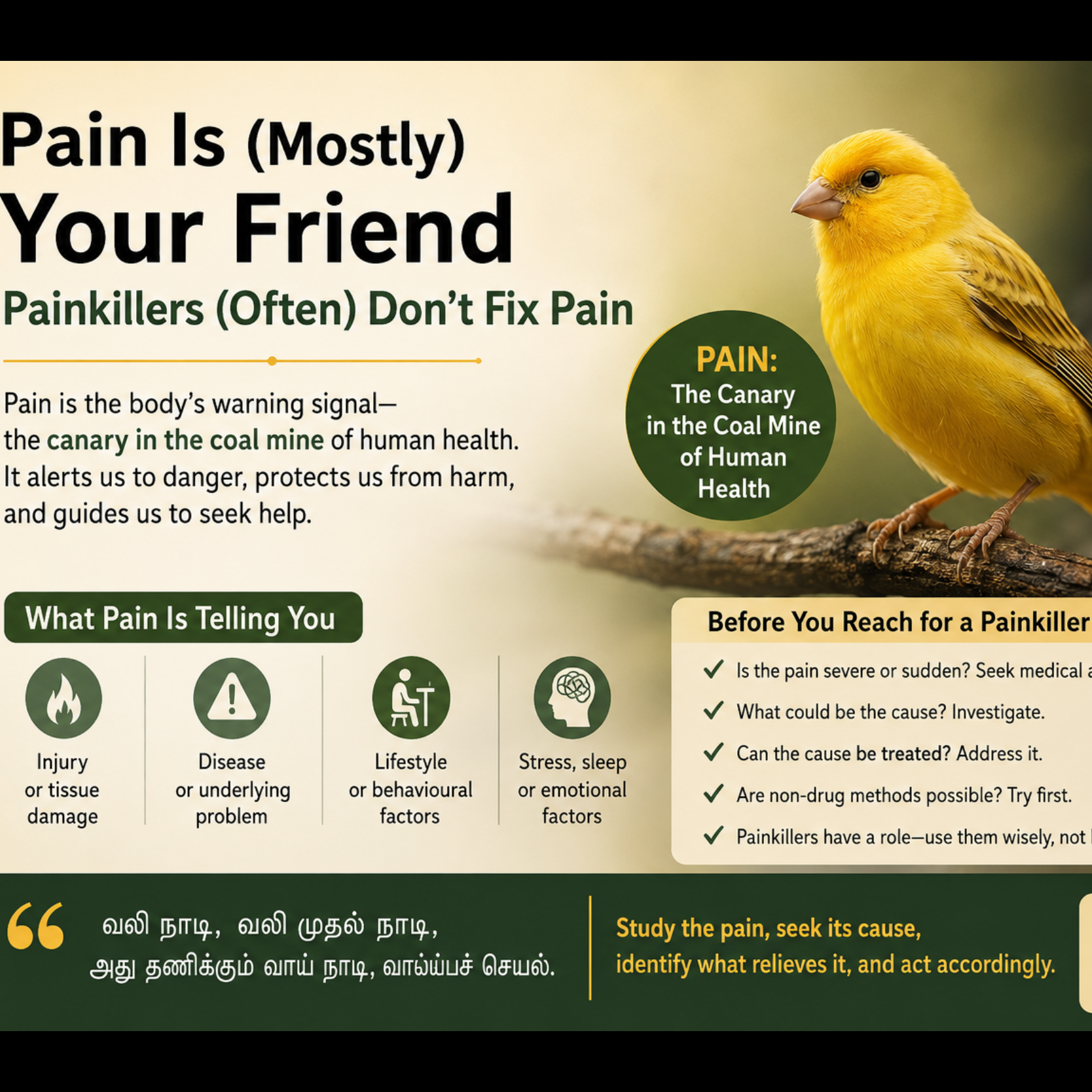 Pain Is (Mostly) Your Friend. Painkillers (Often) Don’t Fix the Pain episode artwork