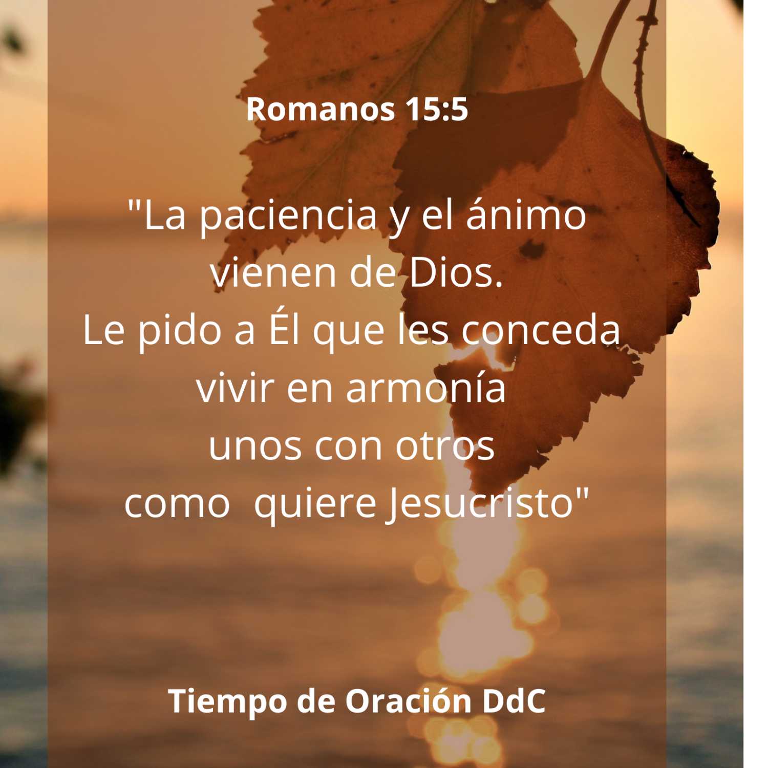 Tiempo de Oración DdC