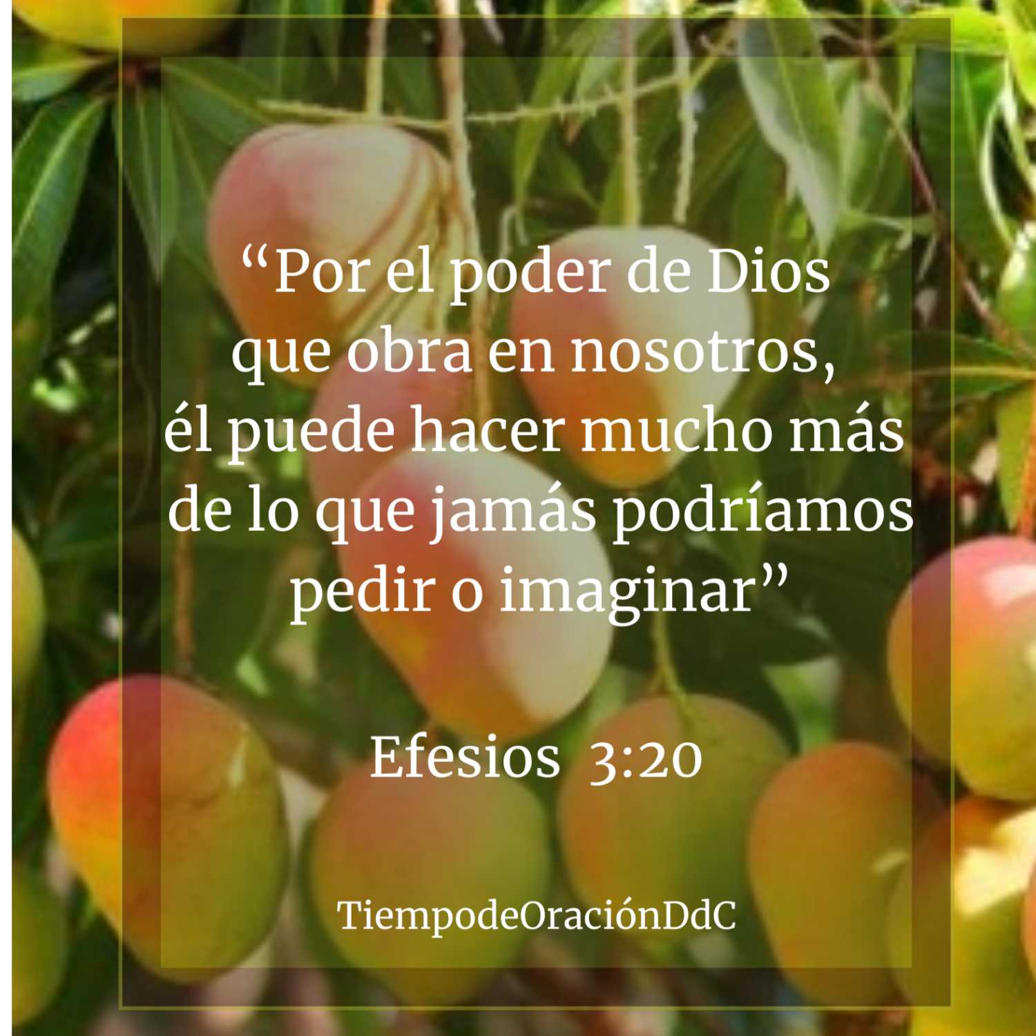 Tiempo de Oración DdC