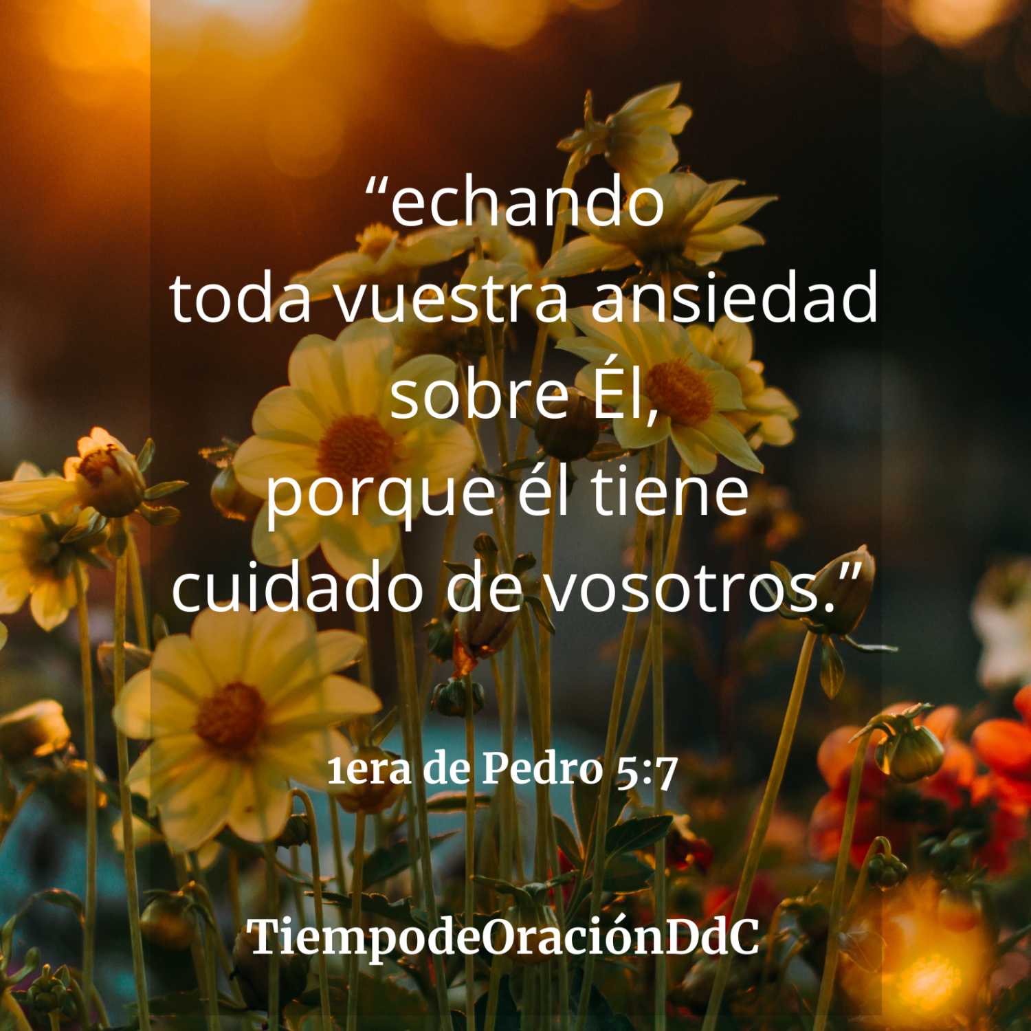 Tiempo de Oración DdC