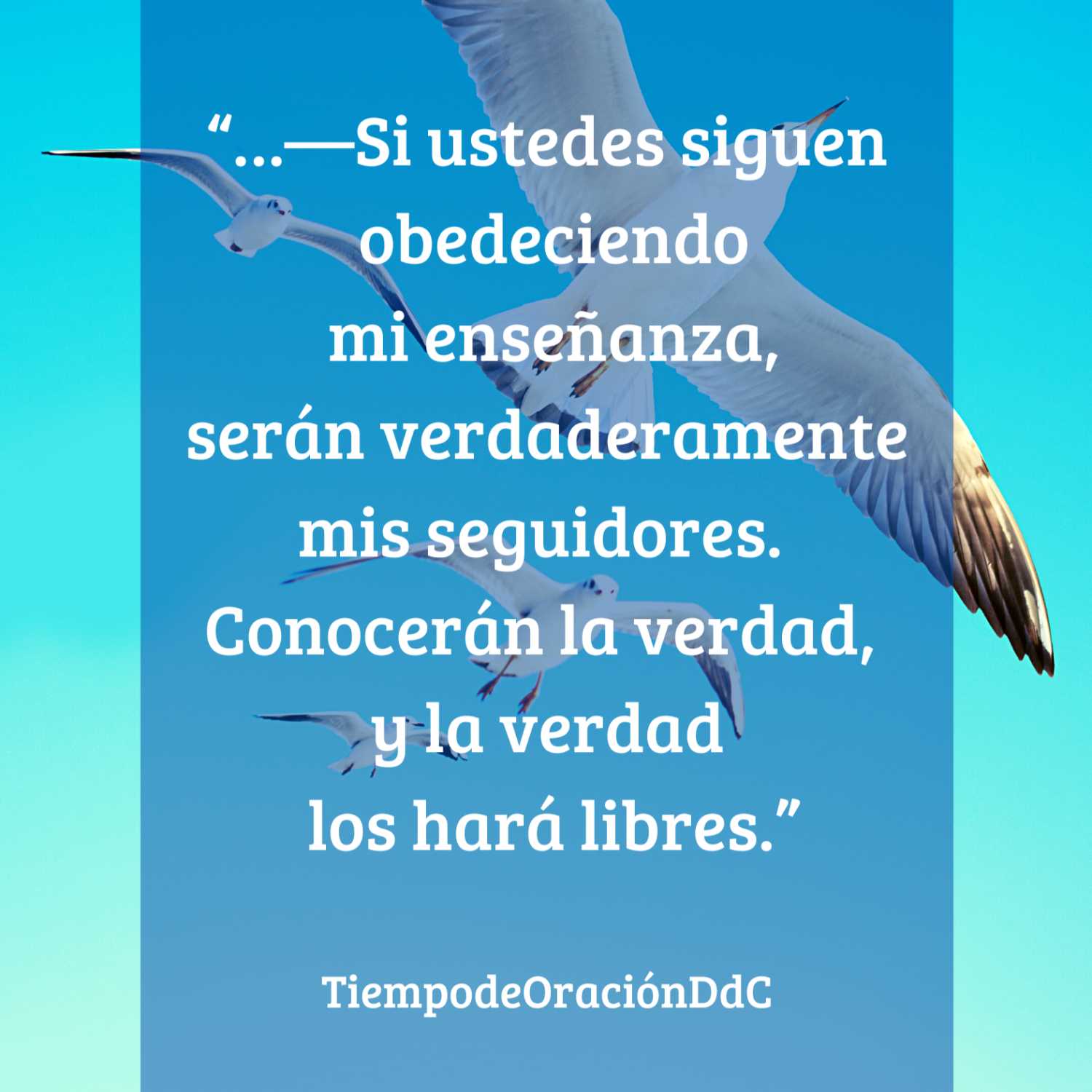 Tiempo de Oración DdC