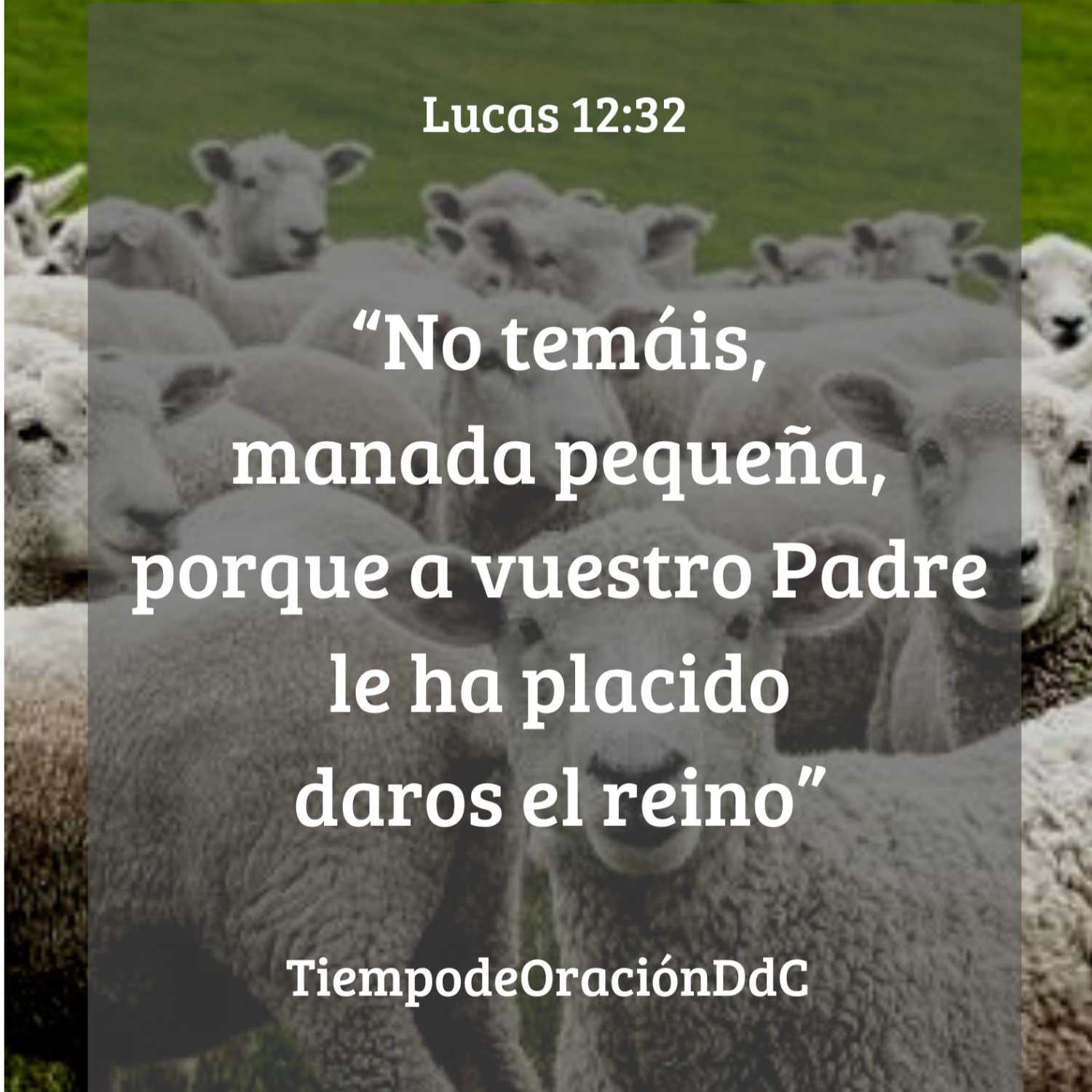 Tiempo de Oración DdC