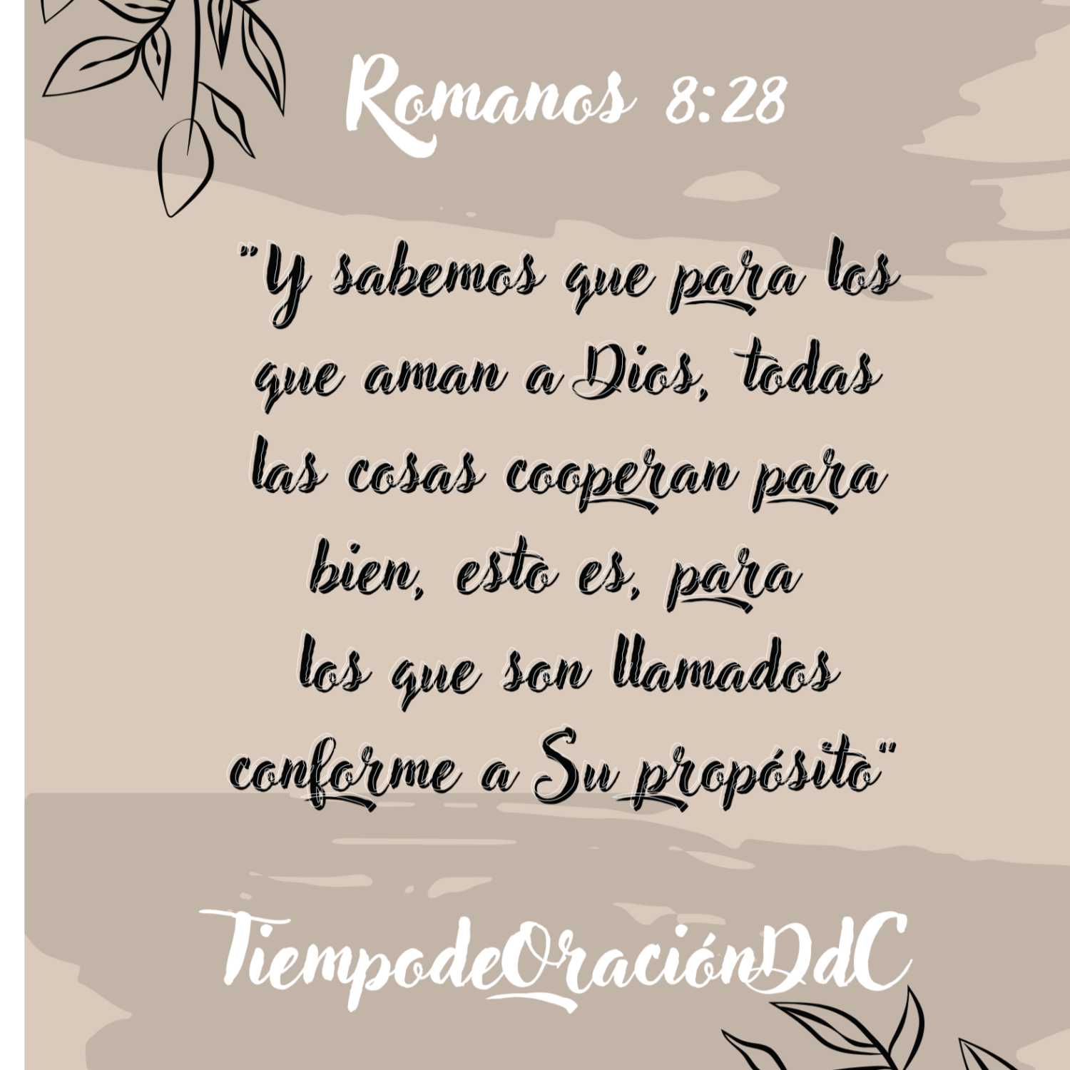 Tiempo de Oración DdC