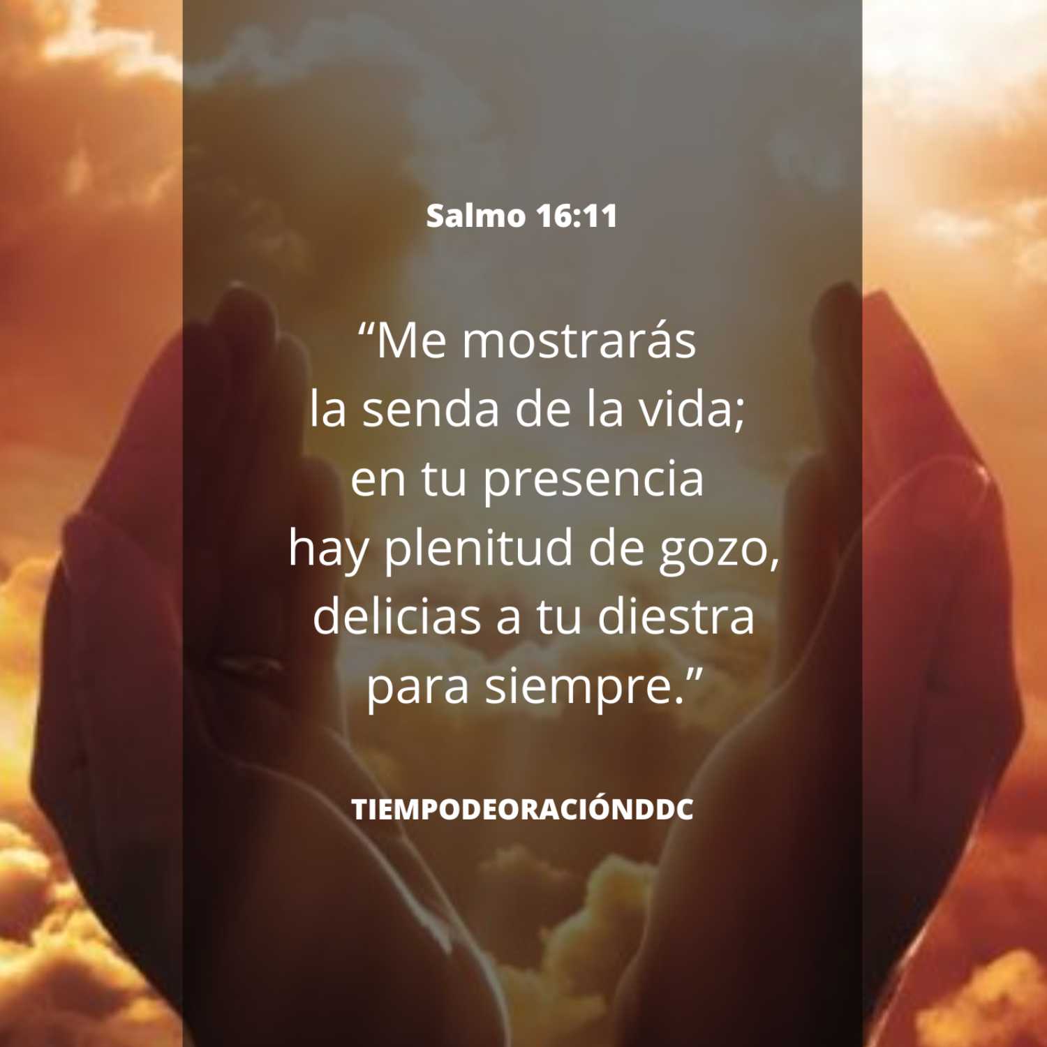 Tiempo de Oración DdC
