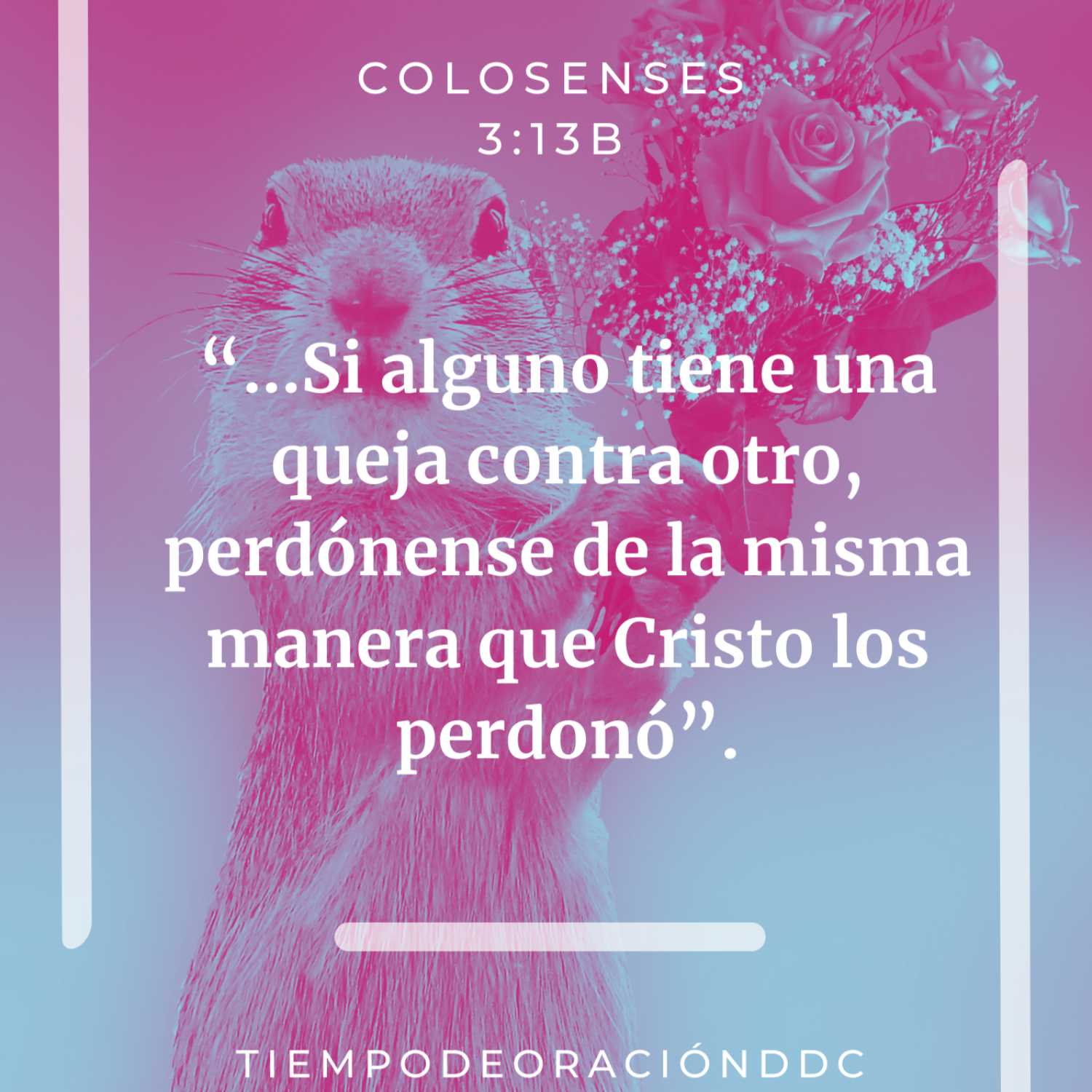 Tiempo de Oración DdC
