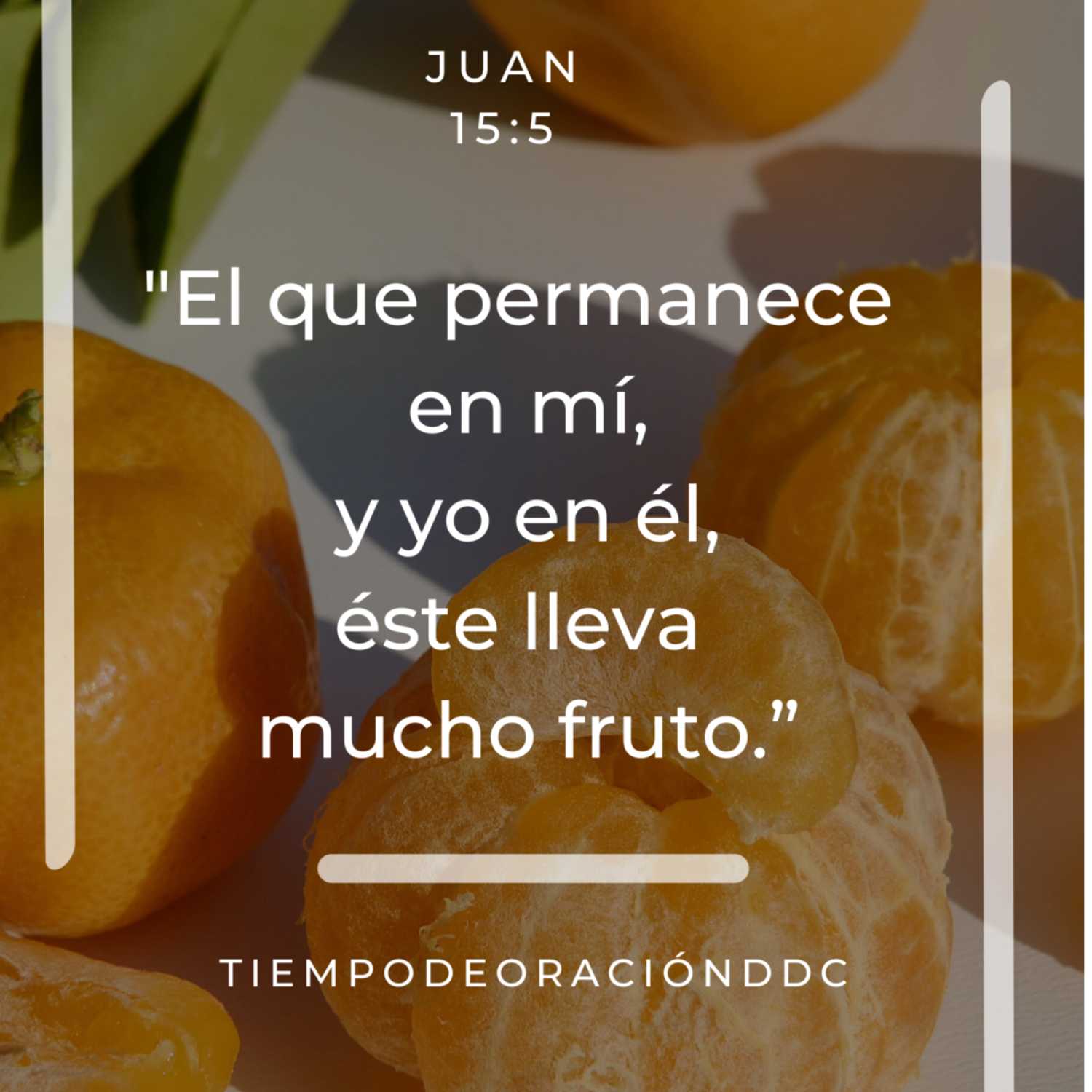 Tiempo de Oración DdC