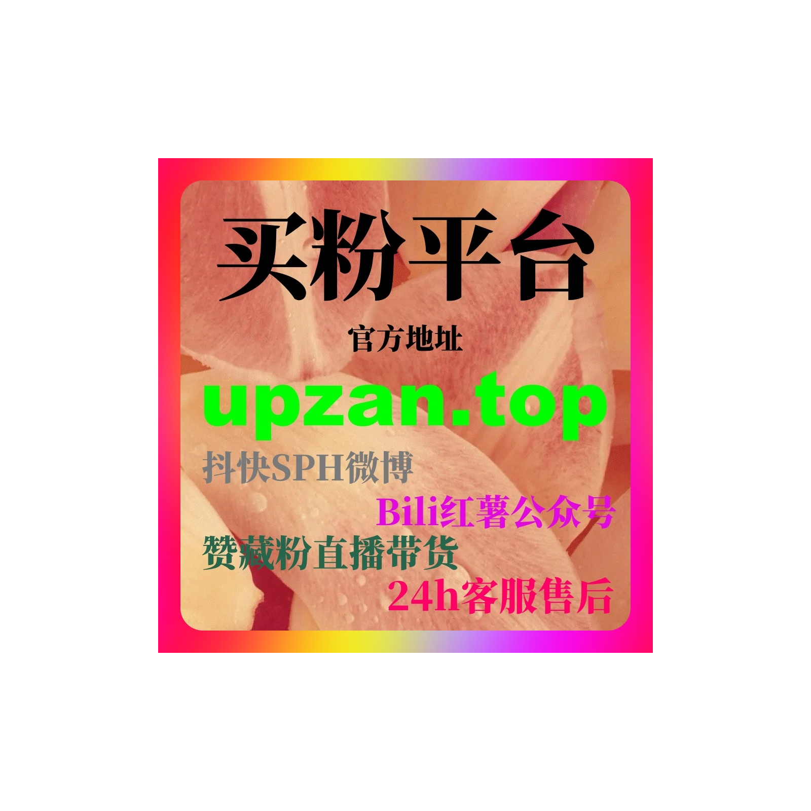 刷赞软件行业背景下如何打造公众号差异化内容与持续影响力增长体系 episode artwork