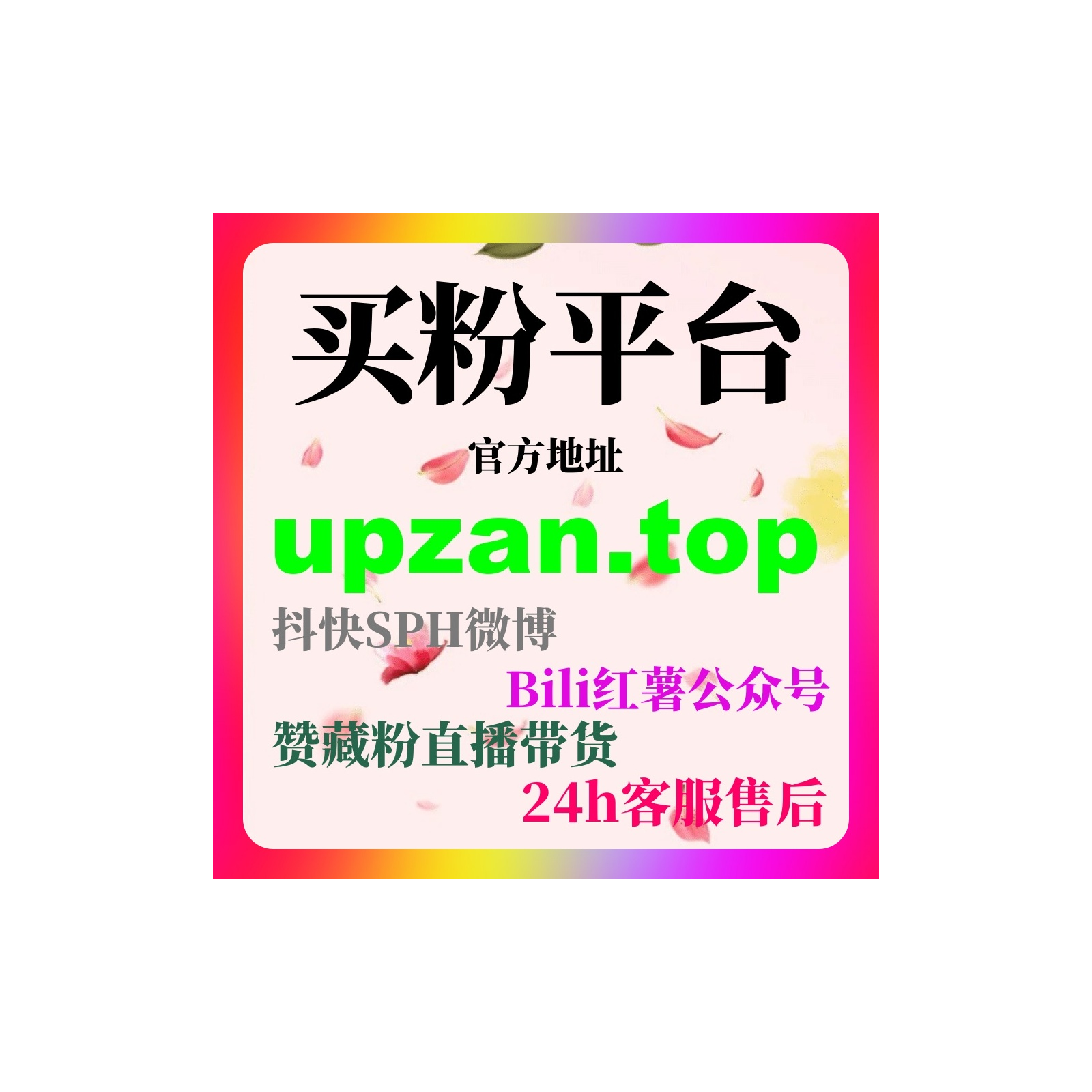 粉丝自助下单行业讨论背景下的公众号内容质量体系与品牌沉淀策略规划 episode artwork