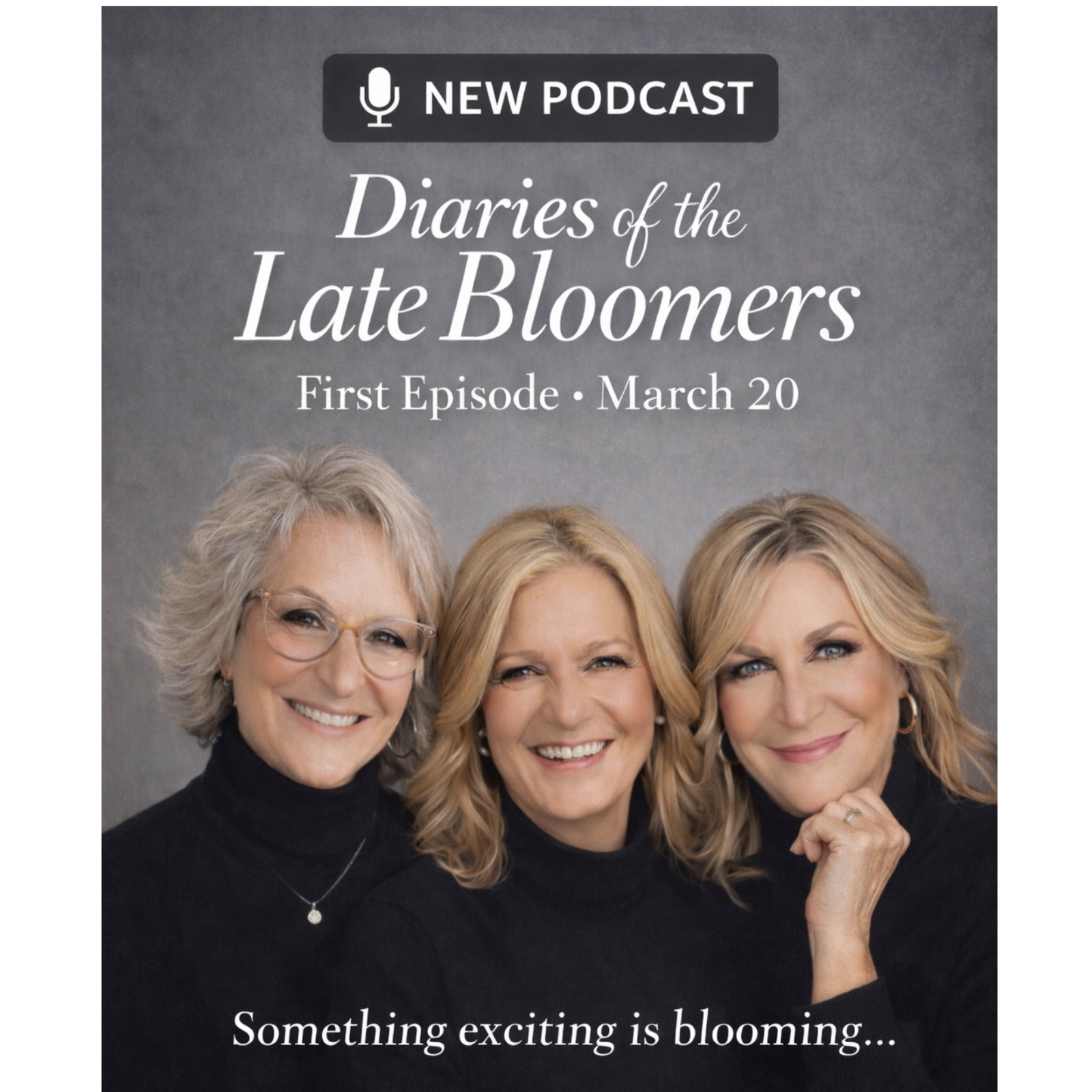 Diaries of the Late Bloomers podcast artwork