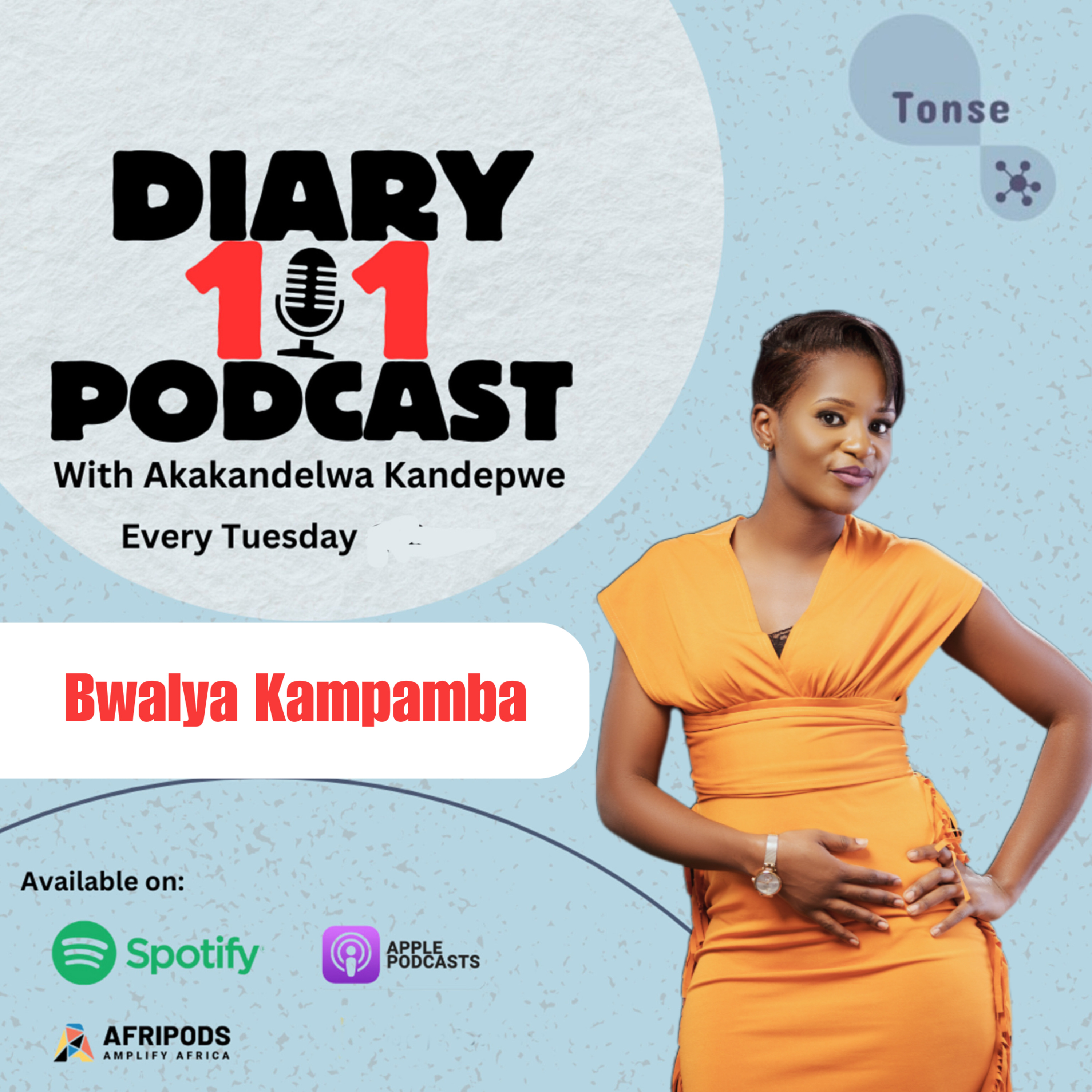 Diary 101 Podcast