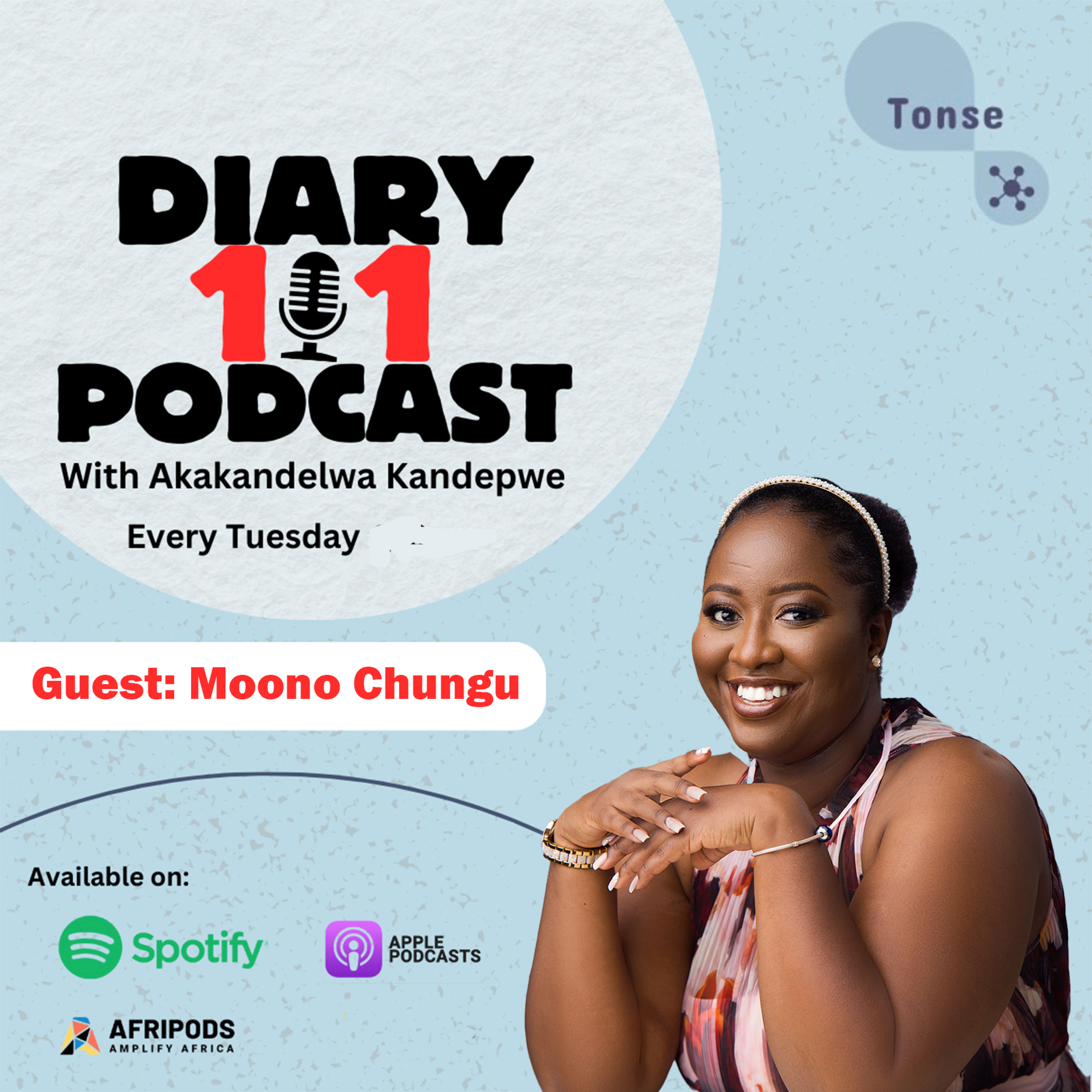 Diary 101 Podcast
