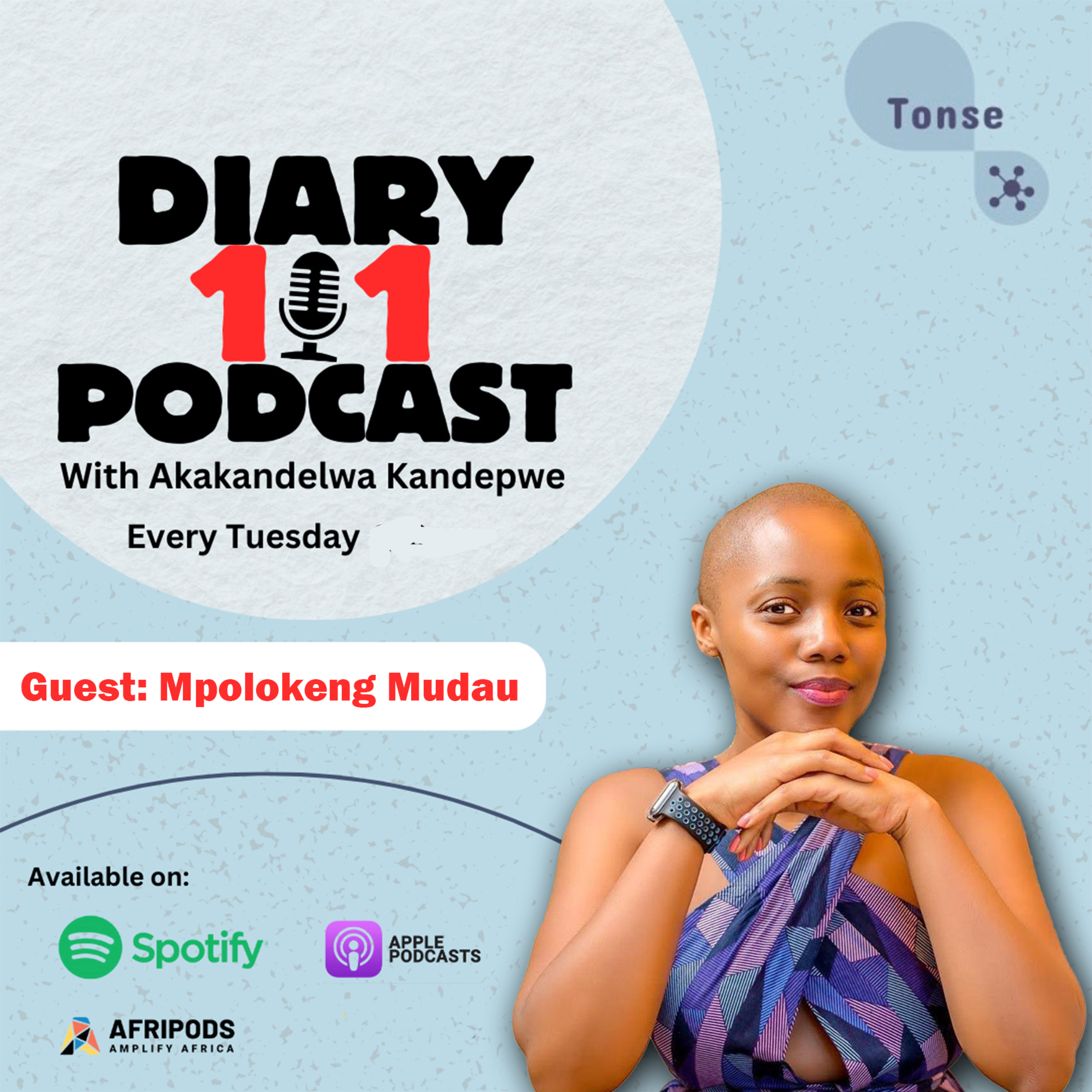Diary 101 Podcast