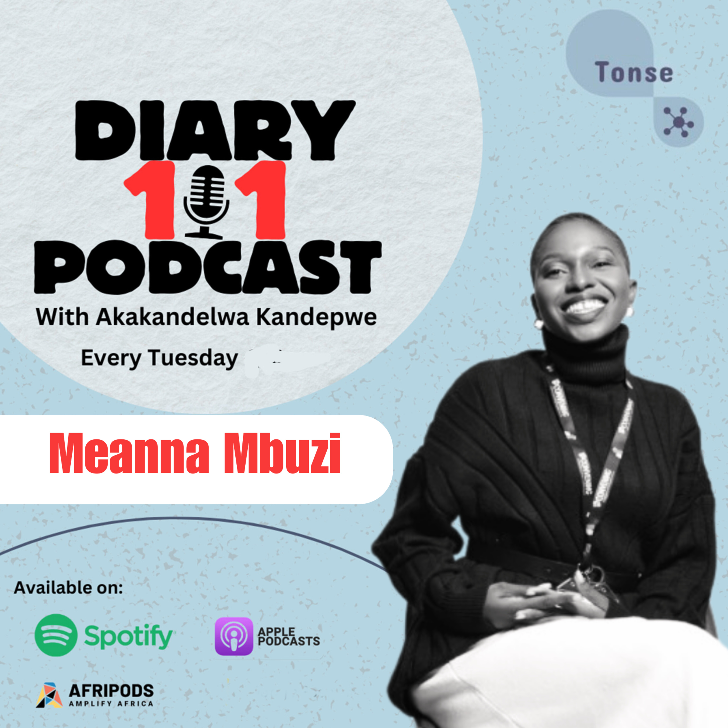 Diary 101 Podcast