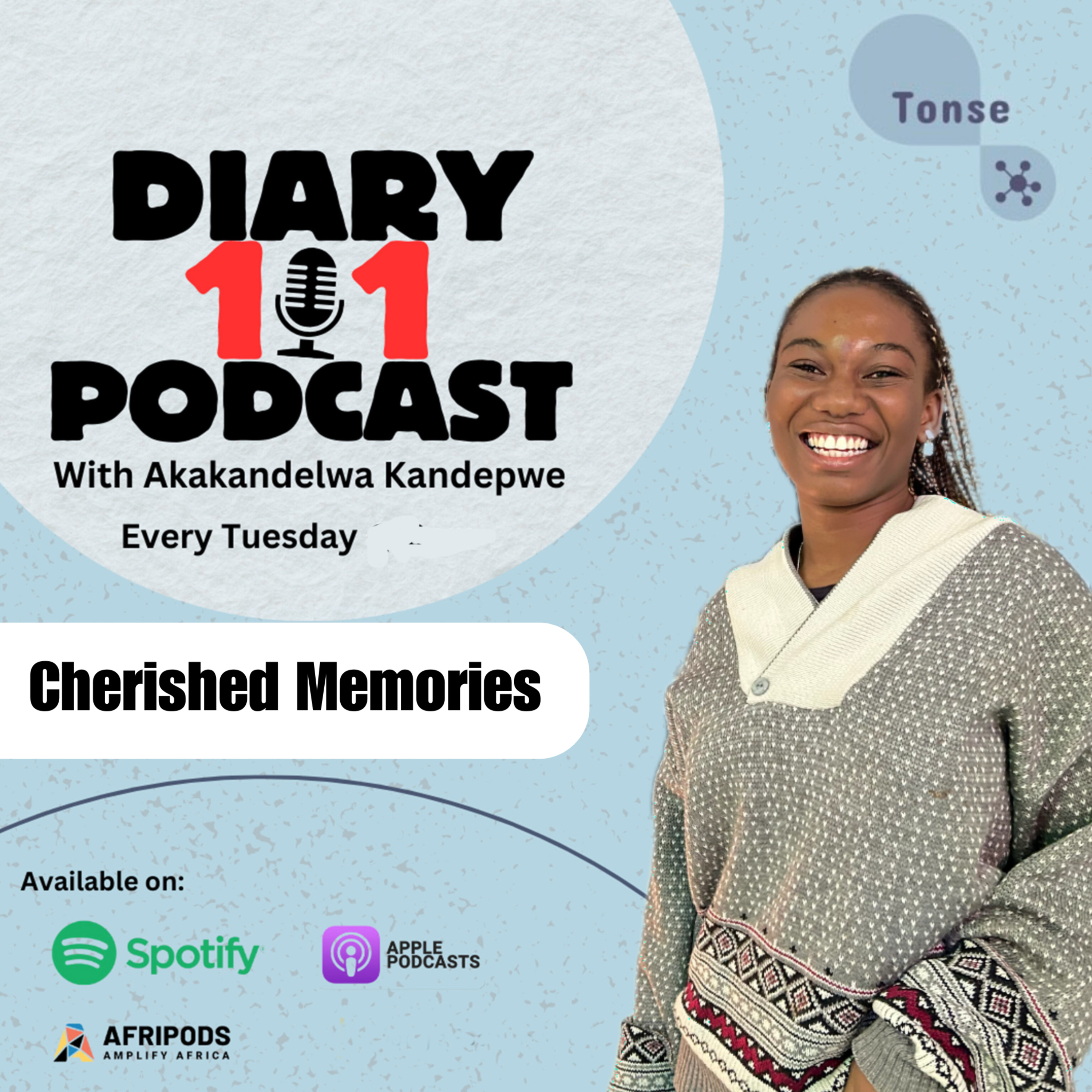 Diary 101 Podcast