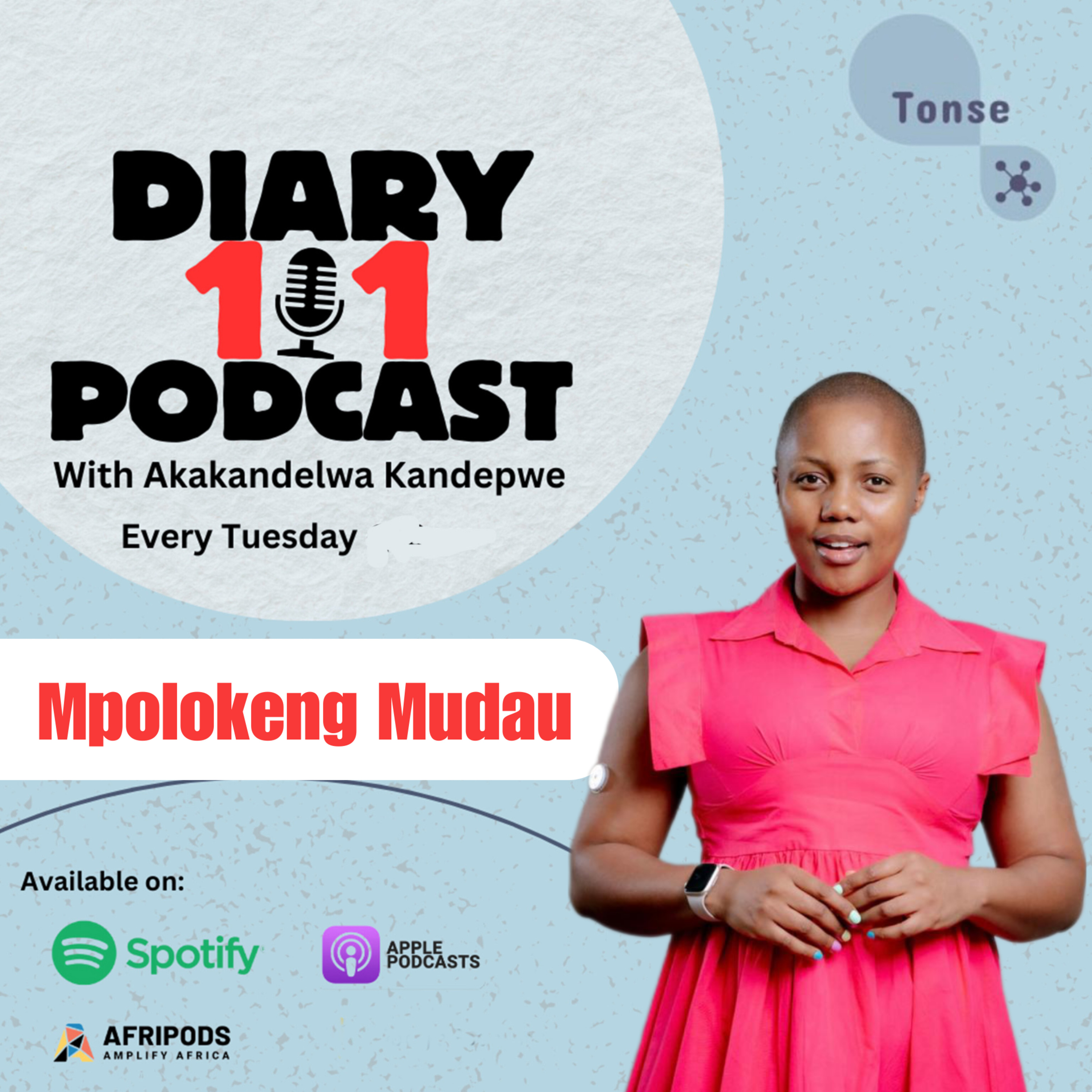 Diary 101 Podcast