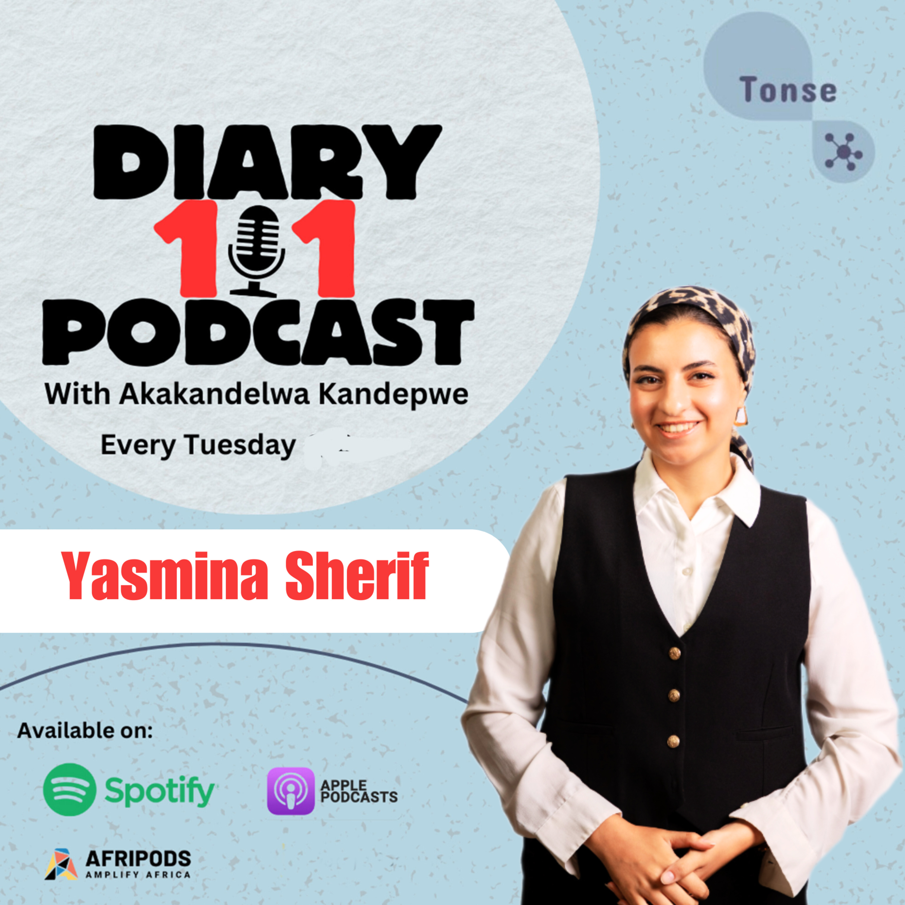 Diary 101 Podcast