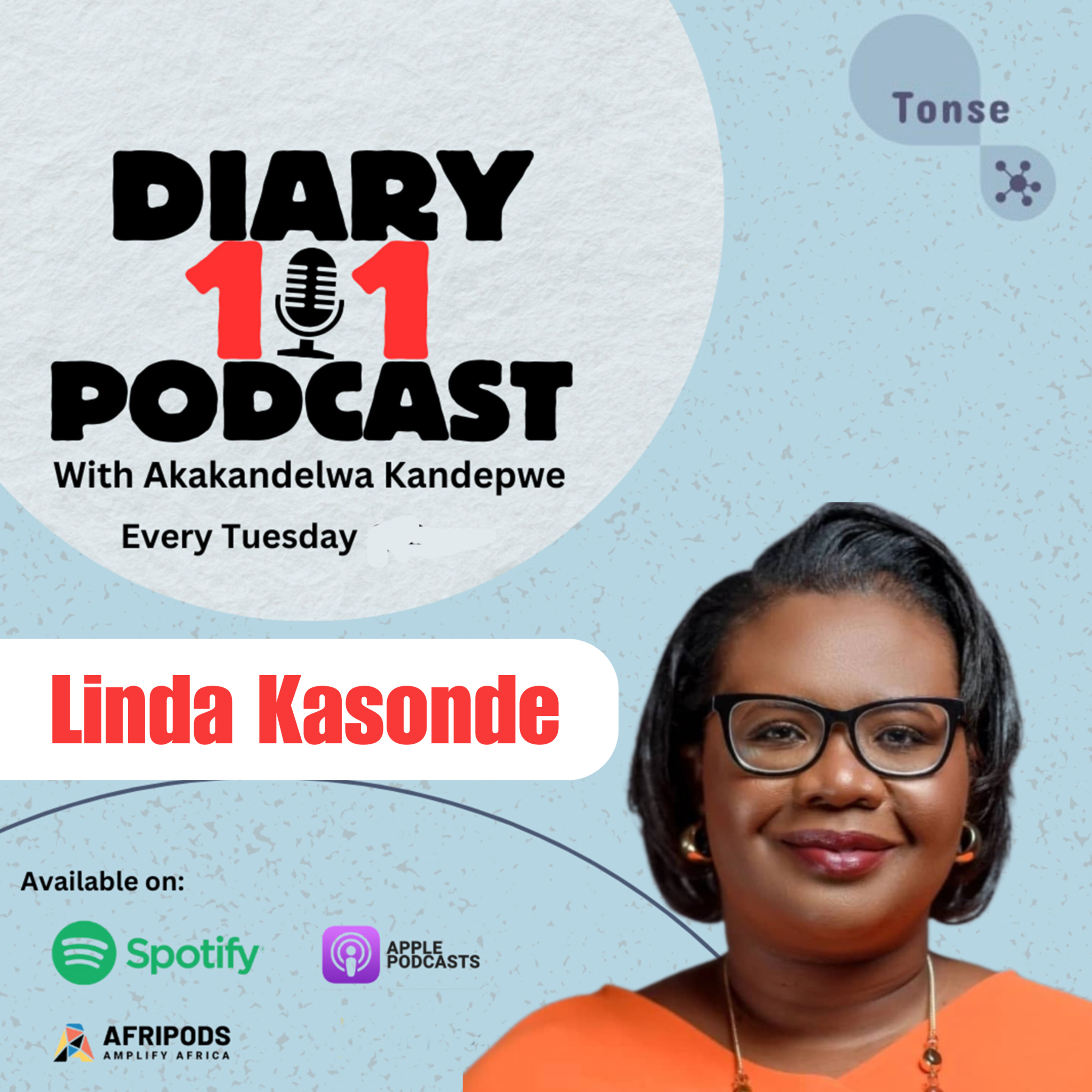 Diary 101 Podcast