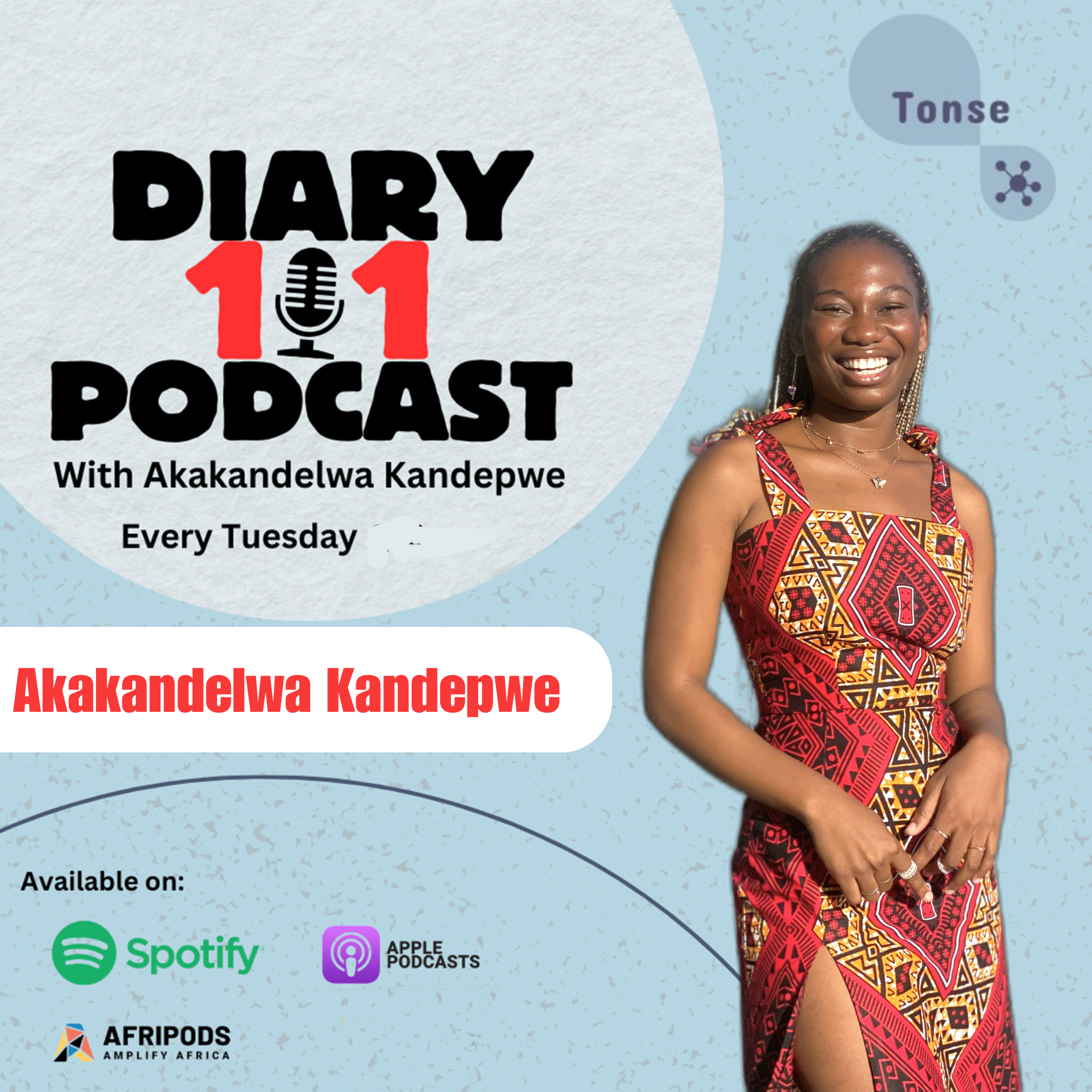 Diary 101 Podcast
