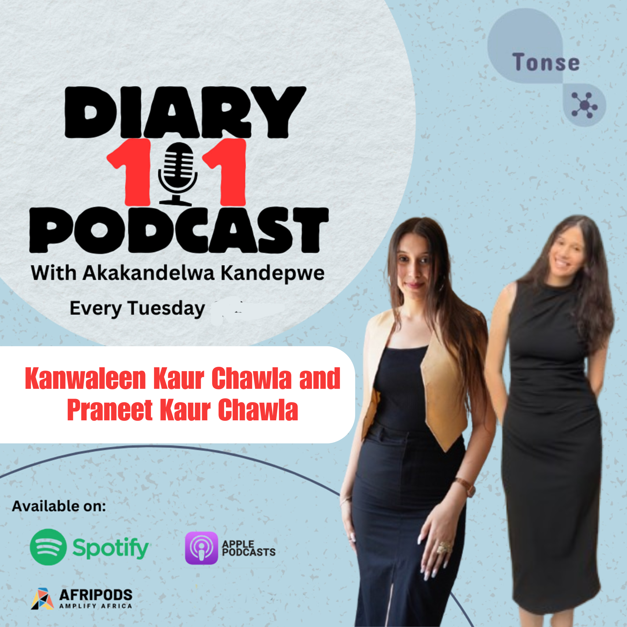Diary 101 Podcast