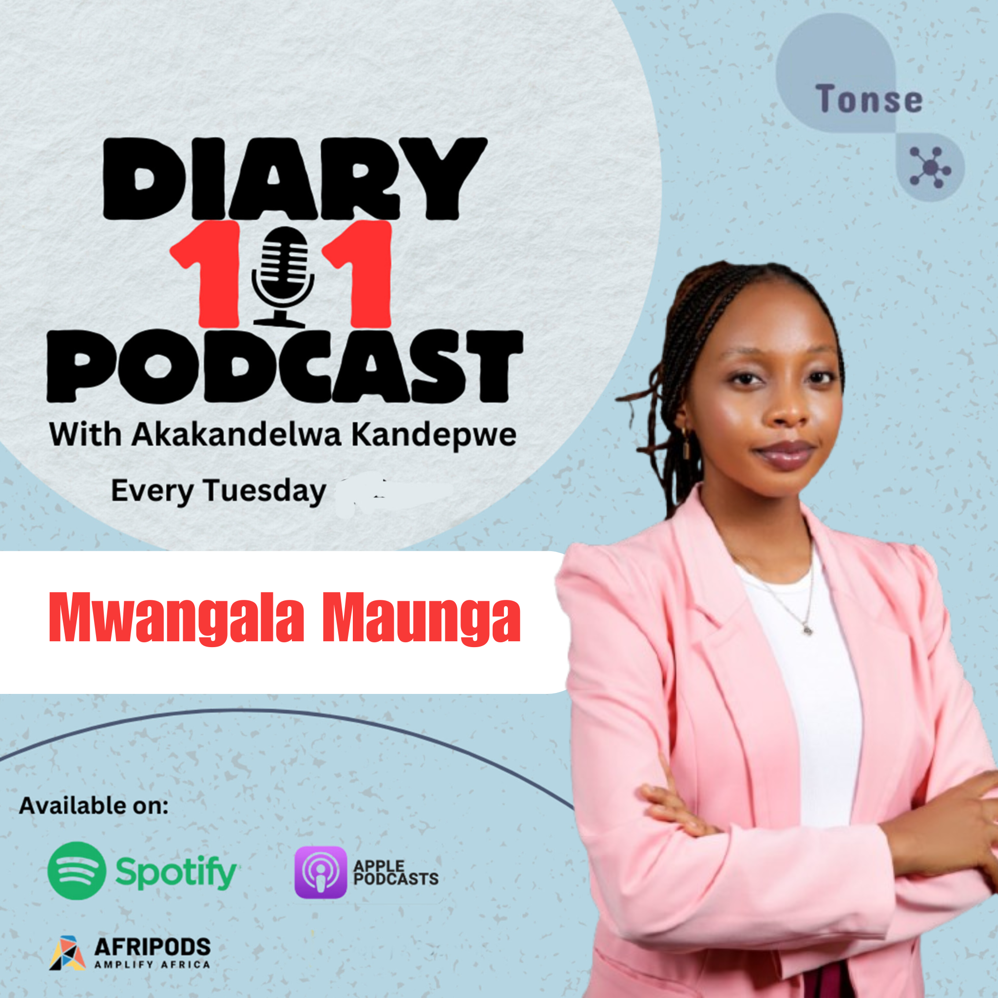 Diary 101 Podcast