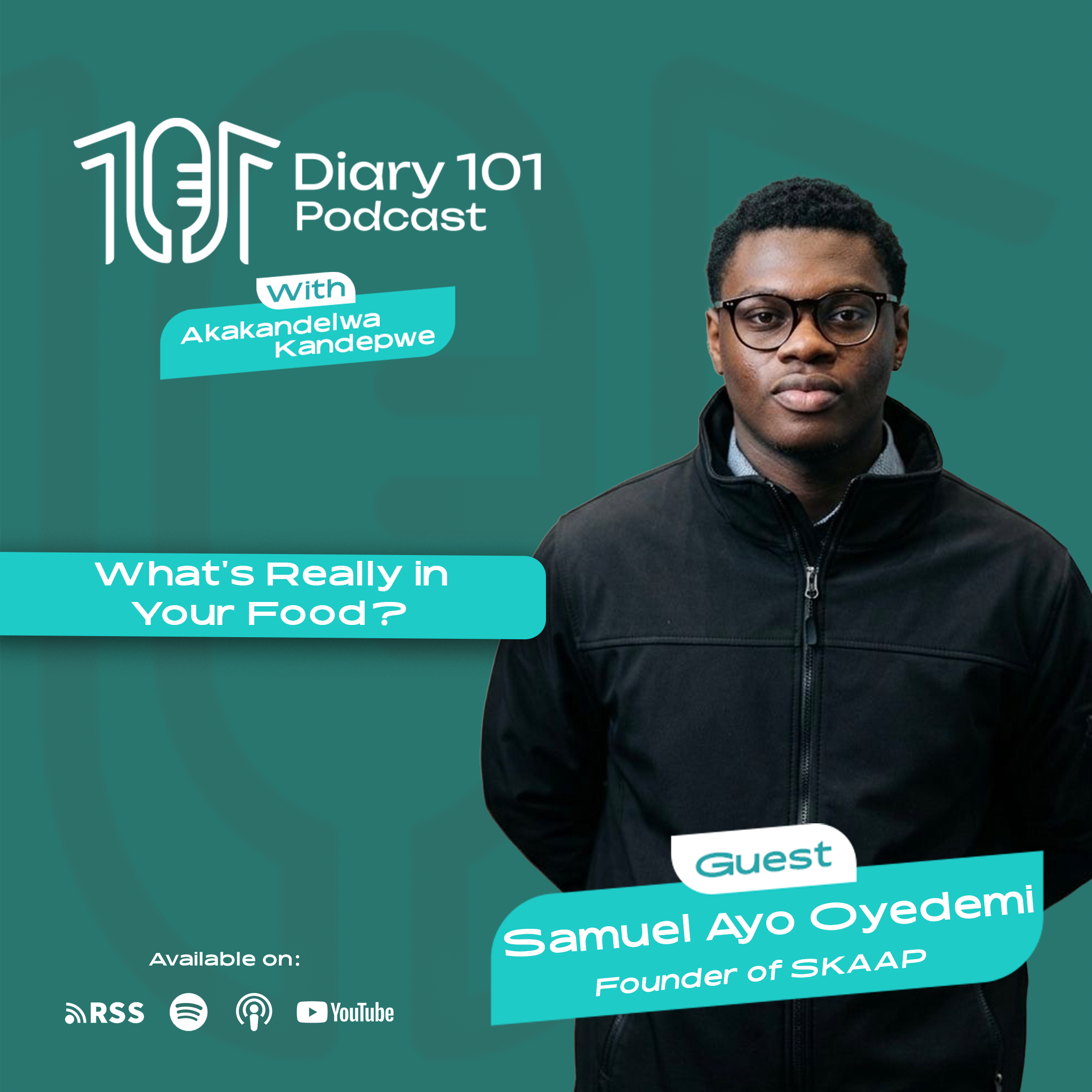 Diary 101 Podcast