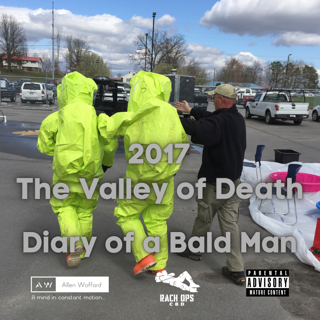 Diary of a Bald Man