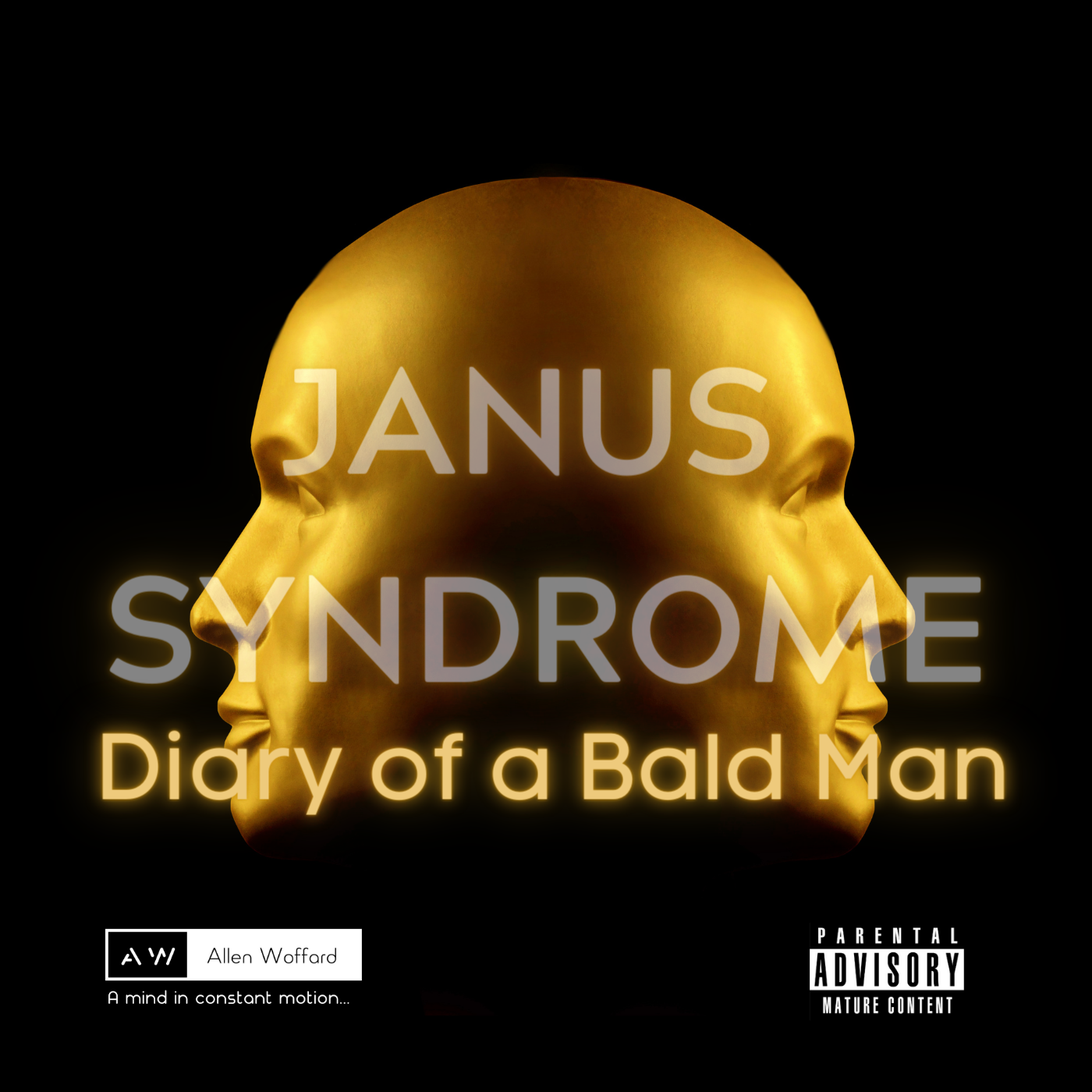 Diary of a Bald Man