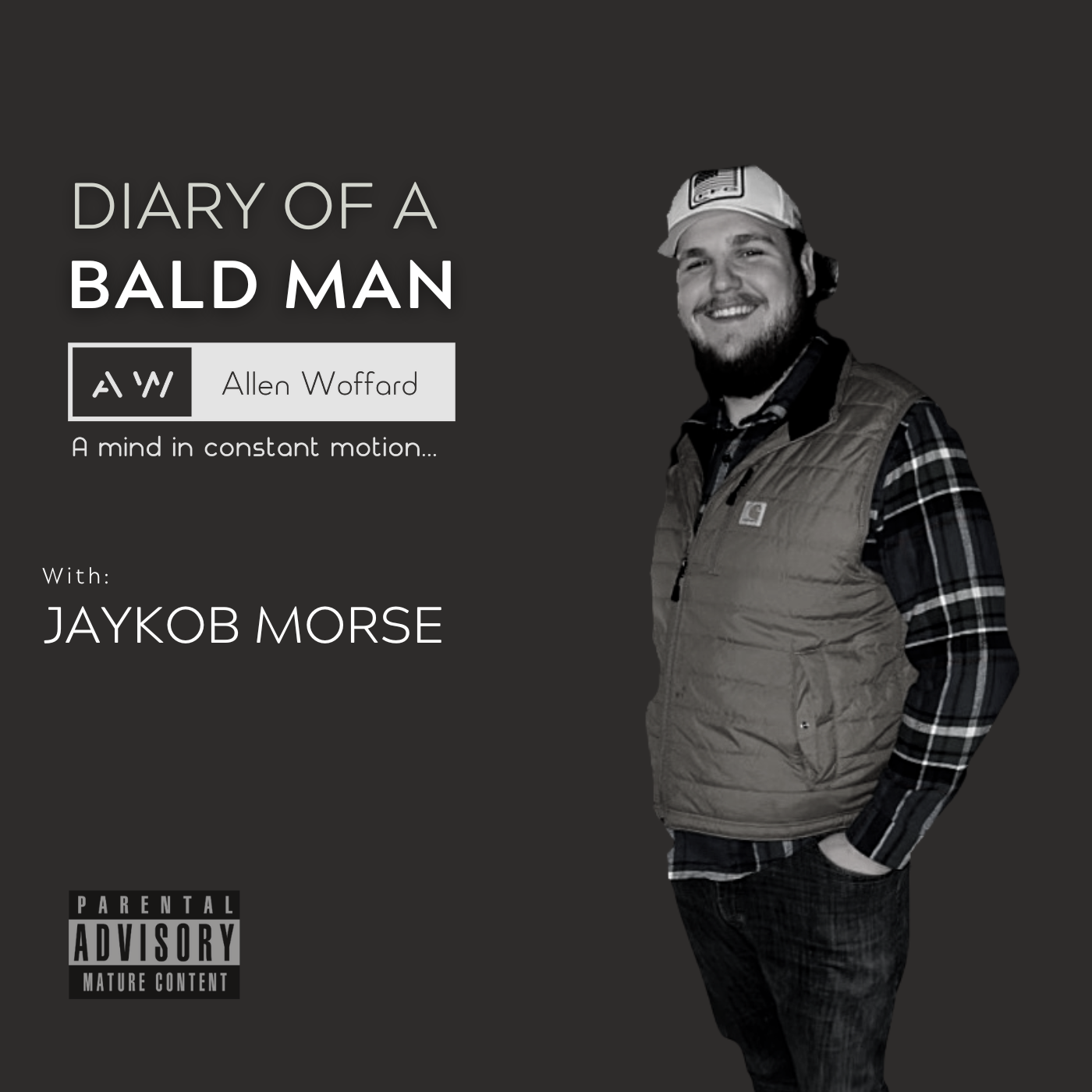 Diary of a Bald Man