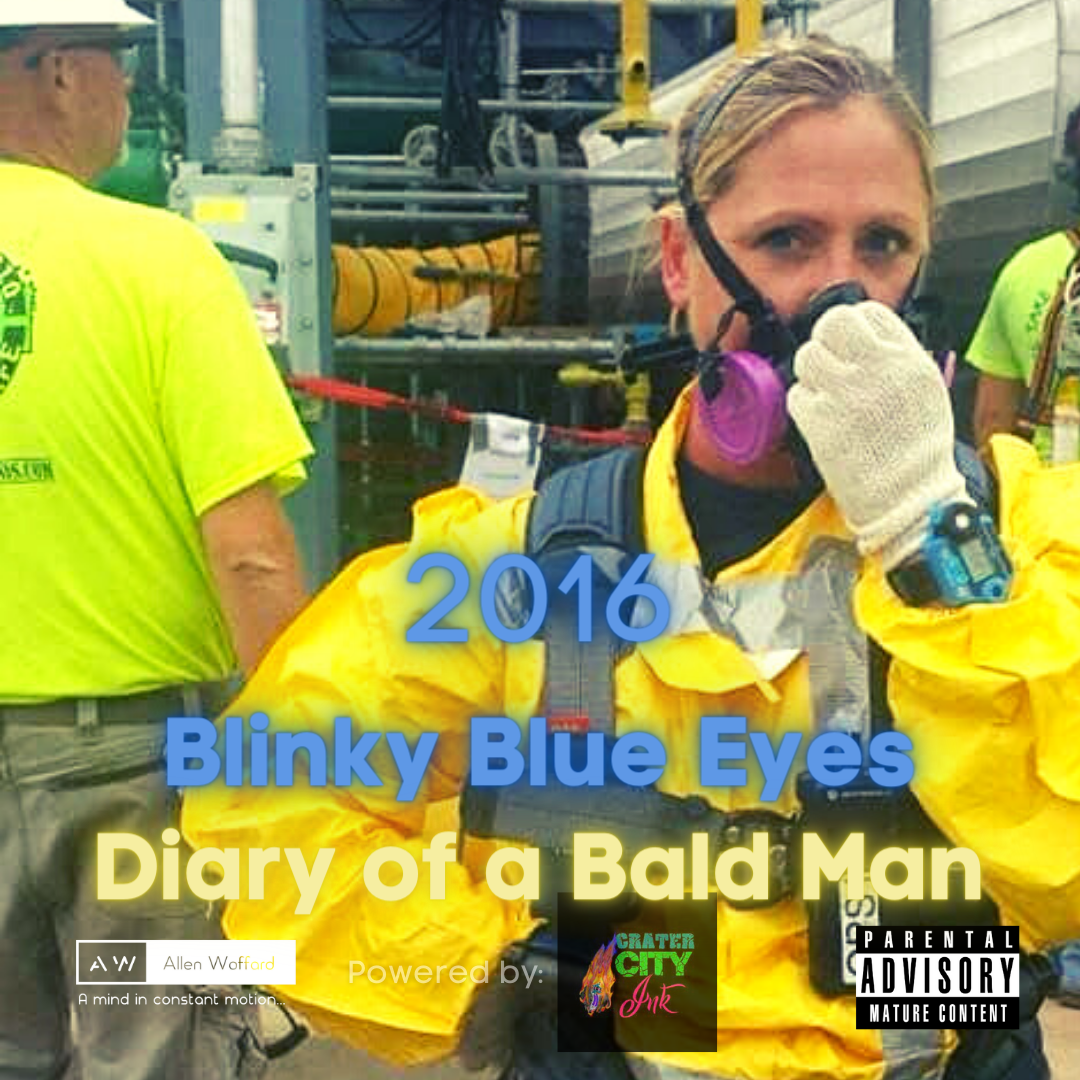 Diary of a Bald Man