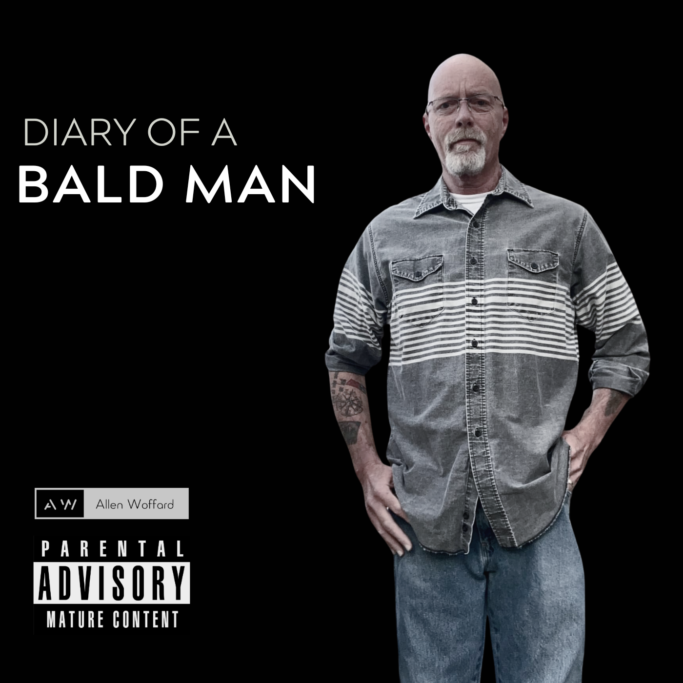 Diary of a Bald Man
