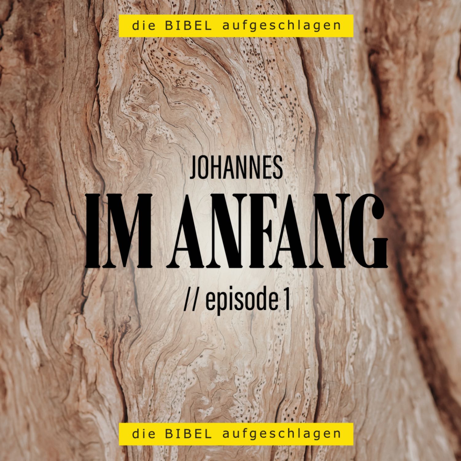 Die Bibel aufgeschlagen