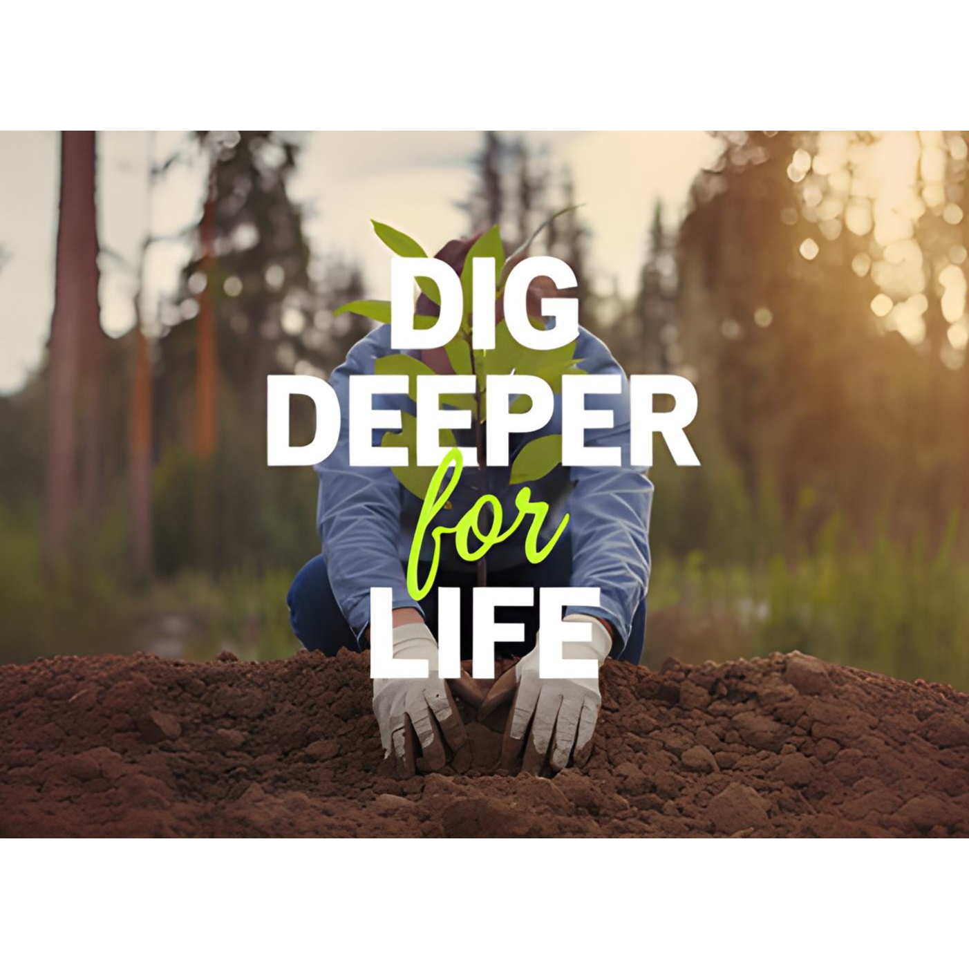 Dig Deeper For Life: Headspace Hacks - Rewiring Your Brain with Mindfulness