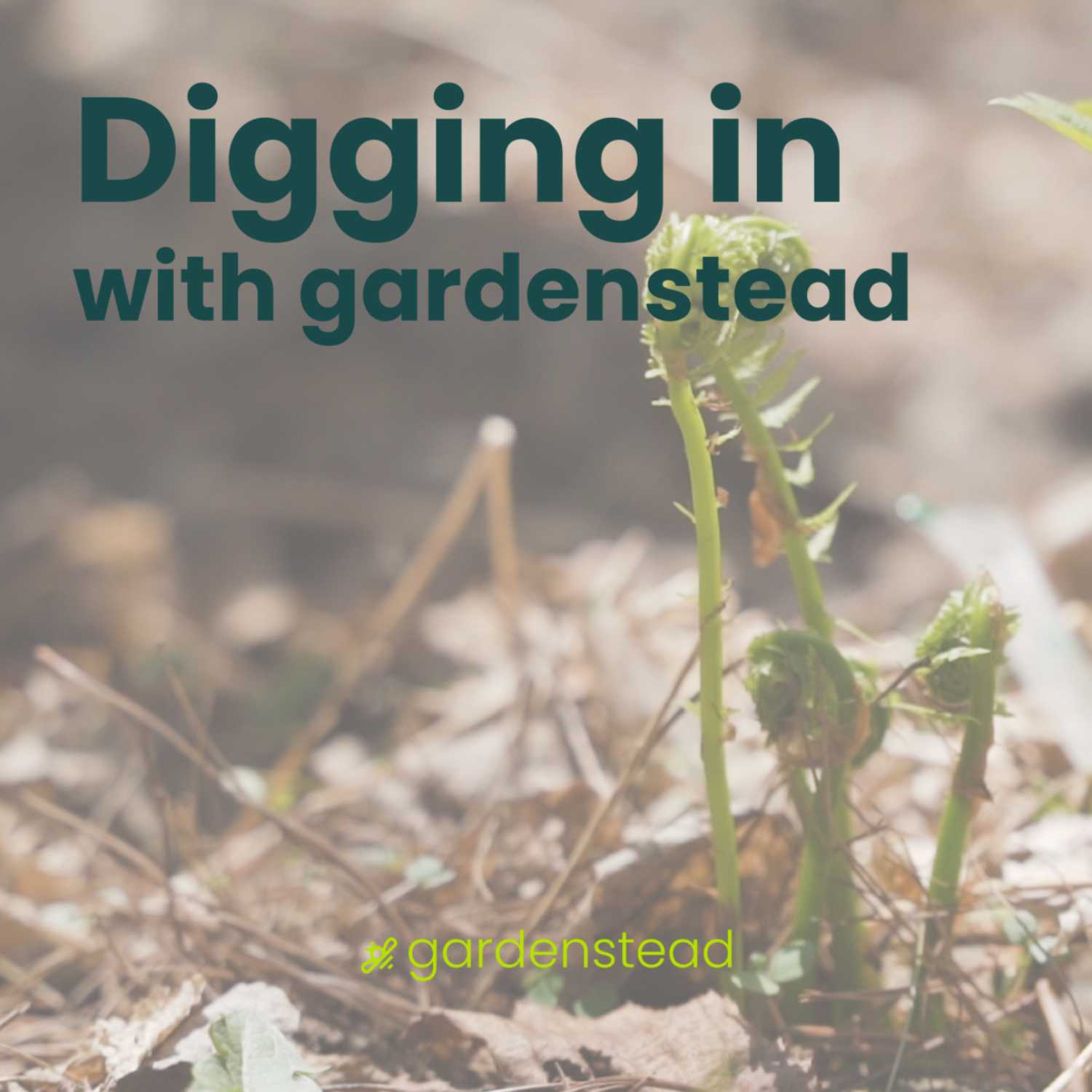 Digging in with gardenstead